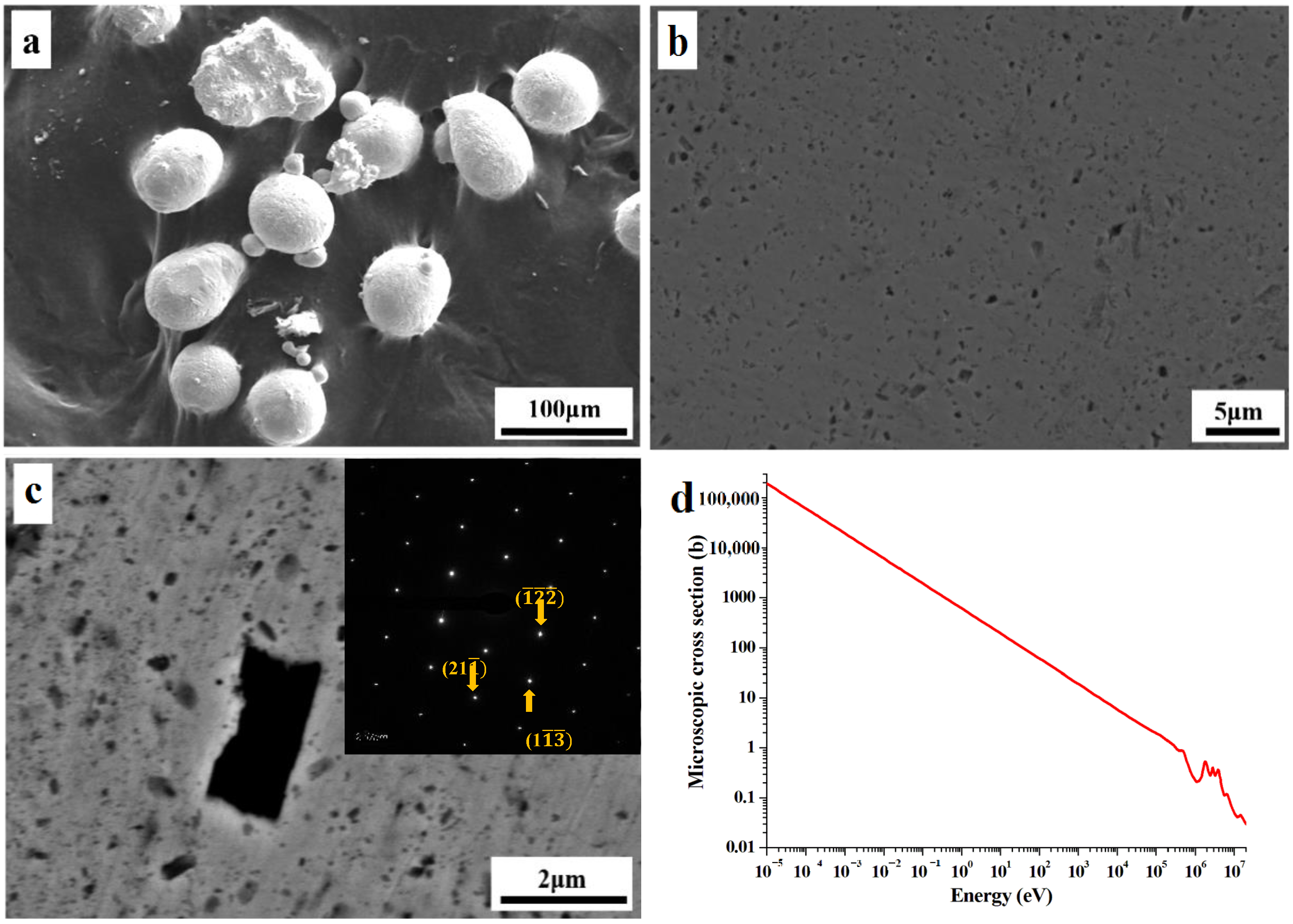 Materials 16 01443 g001