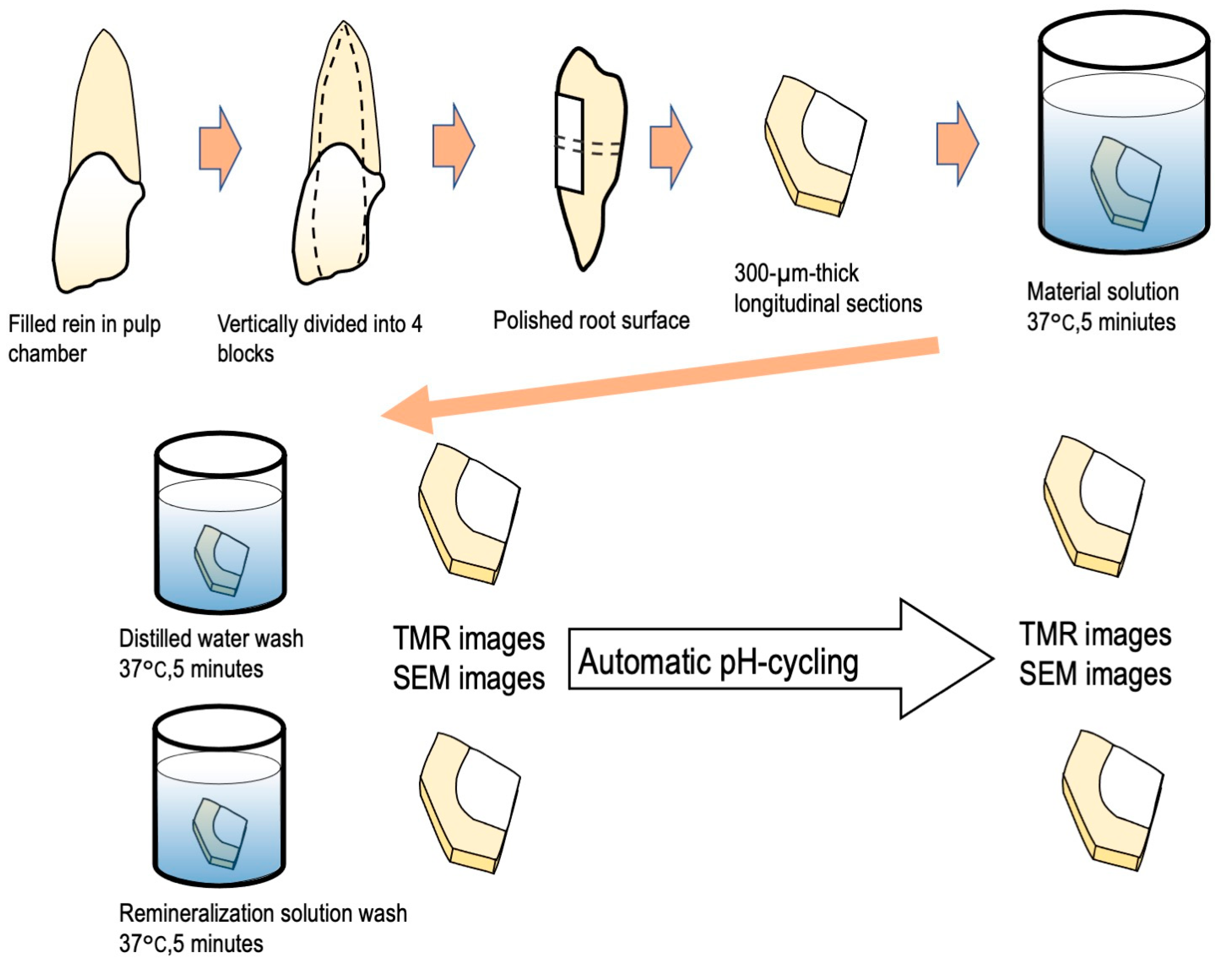 Materials 16 01454 g001 Materials 16 01454 g001