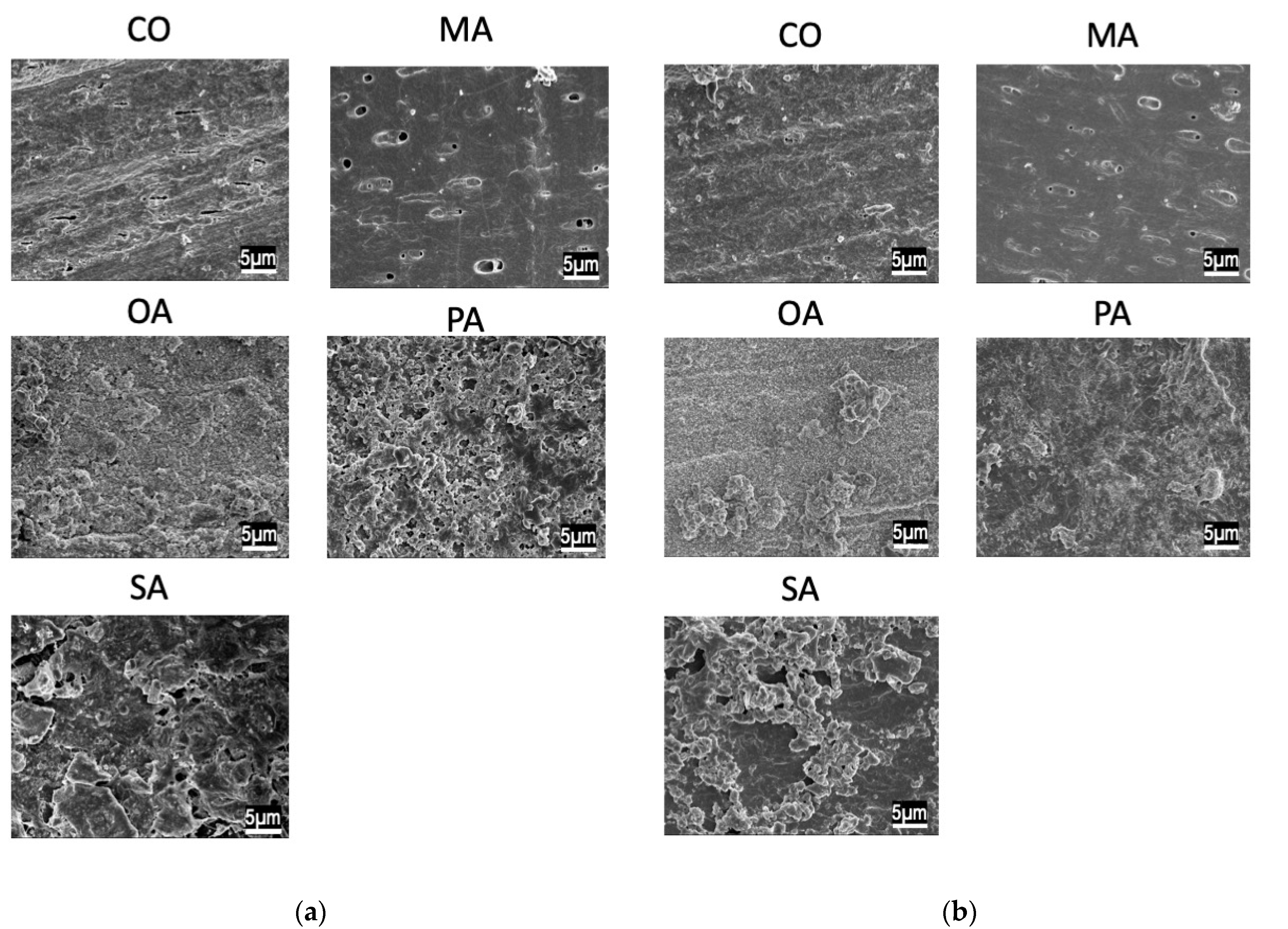 Materials 16 01454 g003 Materials 16 01454 g003