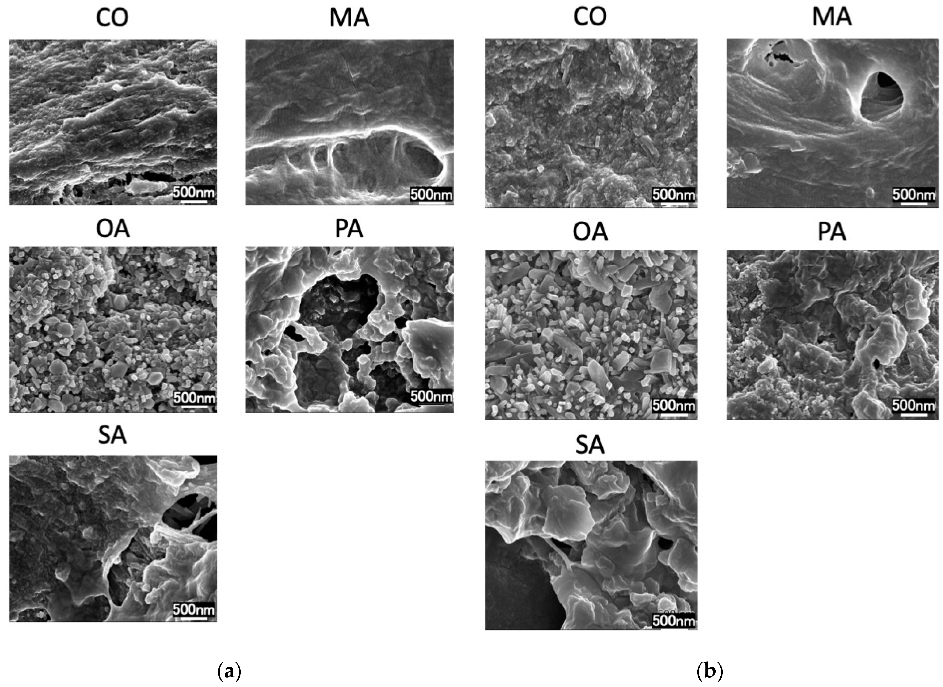 Materials 16 01454 g004 Materials 16 01454 g004