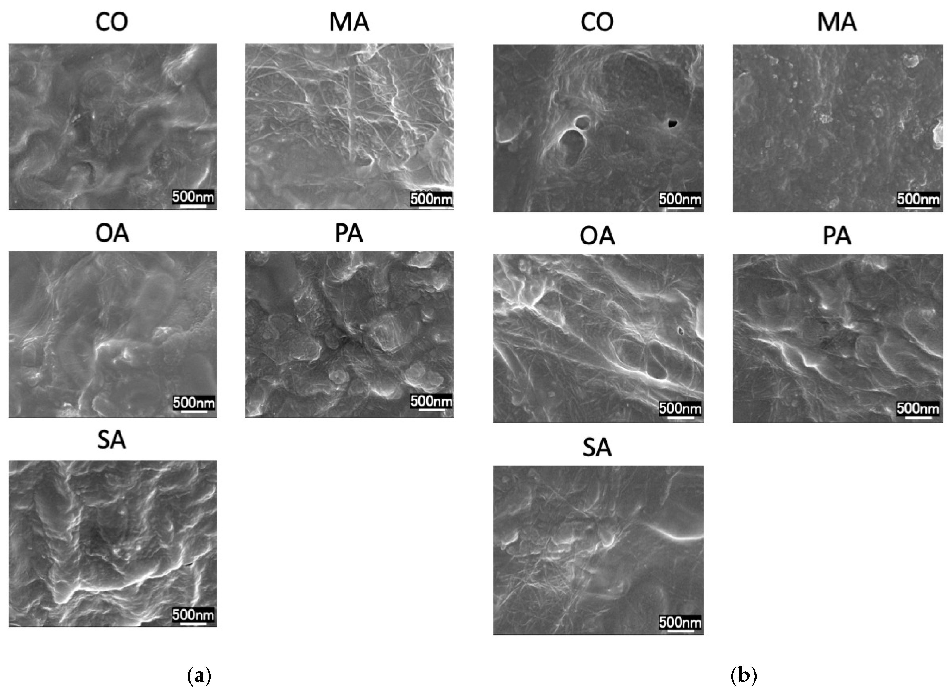 Materials 16 01454 g006 Materials 16 01454 g006