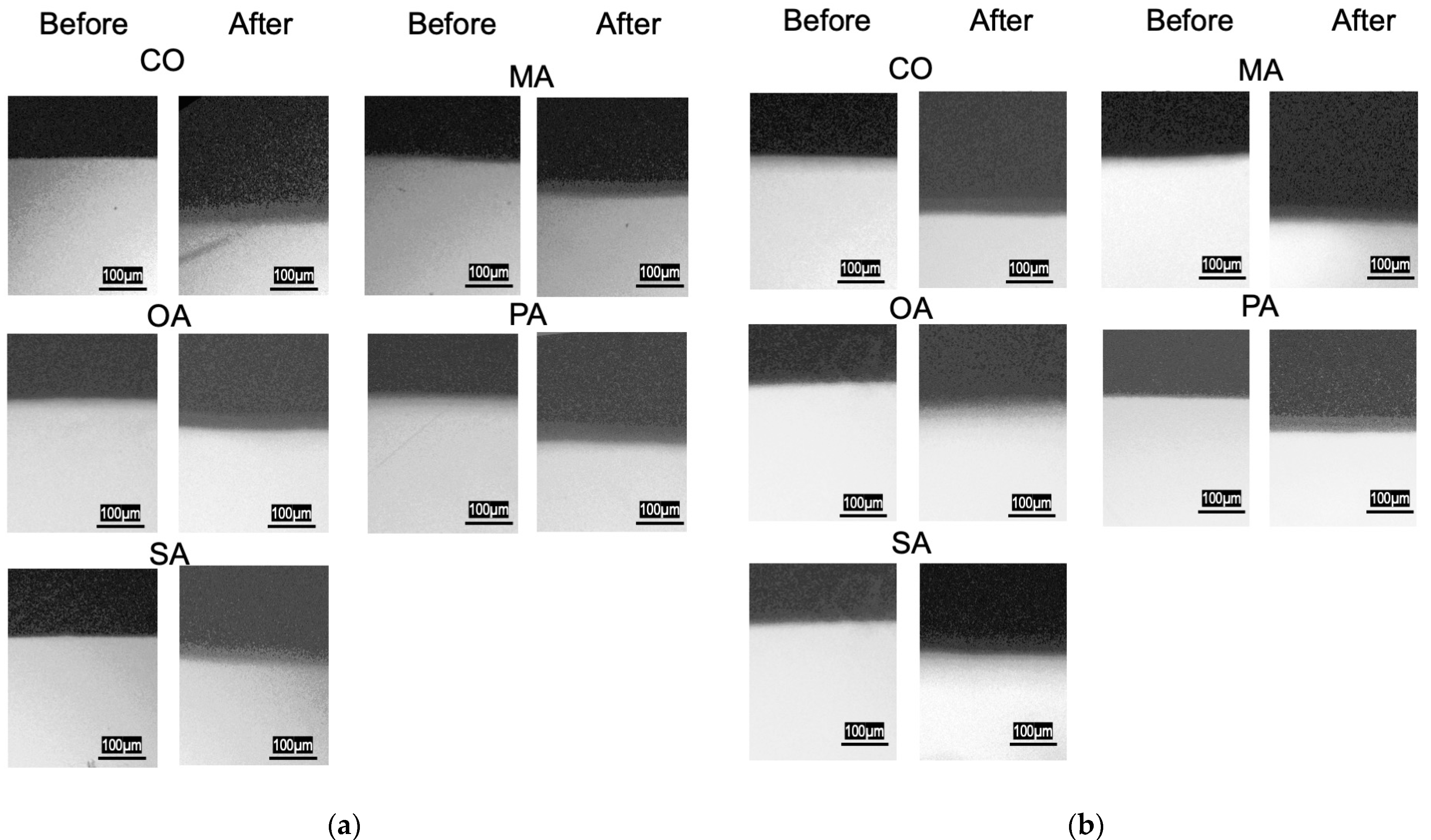 Materials 16 01454 g007 Materials 16 01454 g007