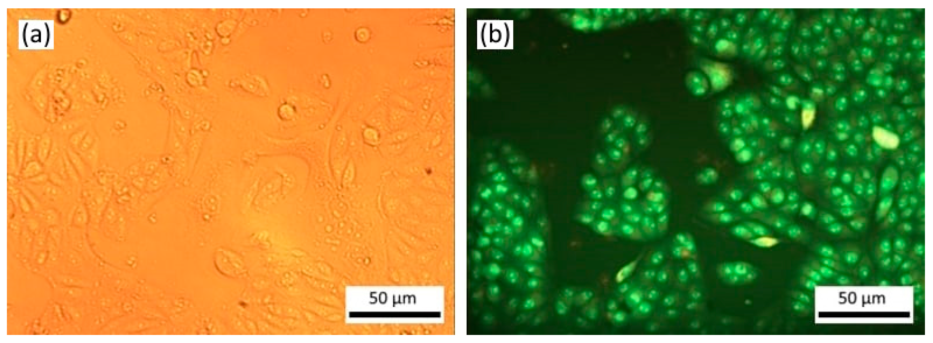 Materials 16 01470 g003 Materials 16 01470 g003