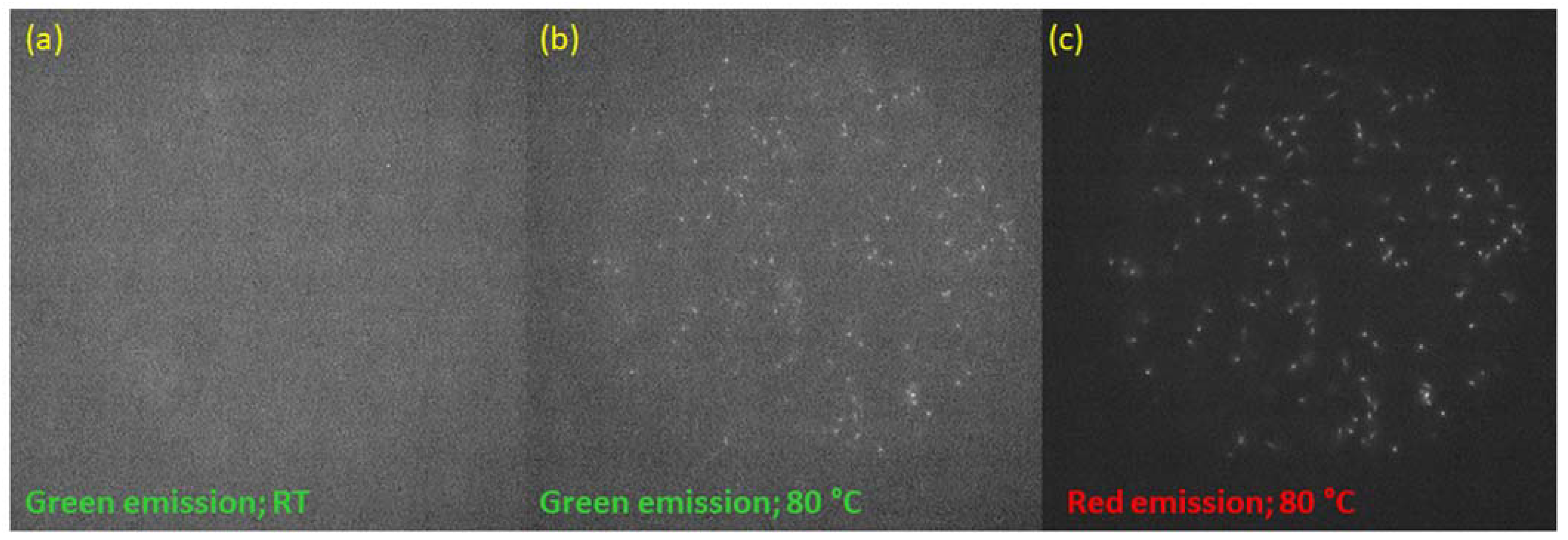Materials 16 01489 g017 Materials 16 01489 g017