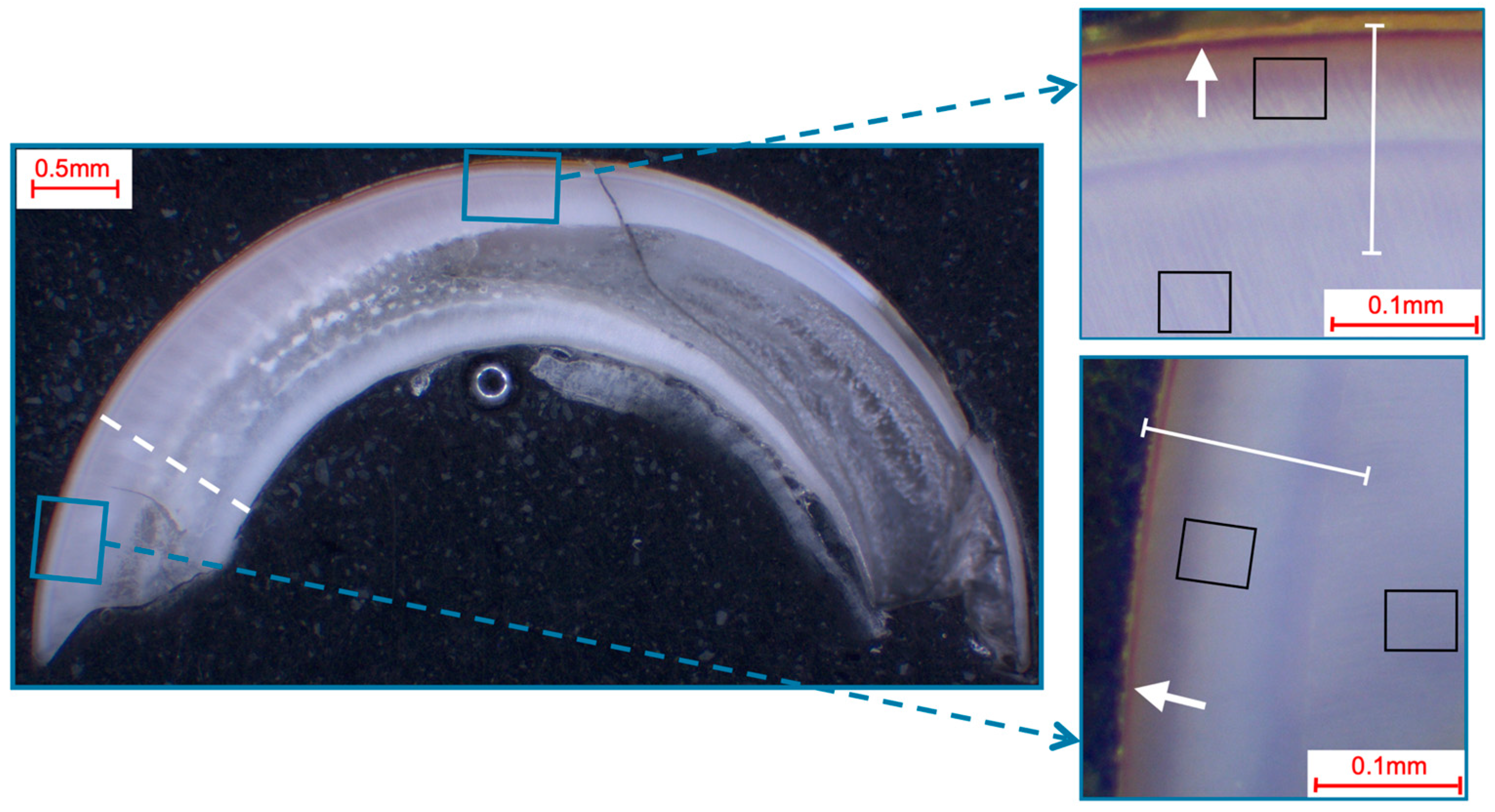 Materials 16 01514 g001