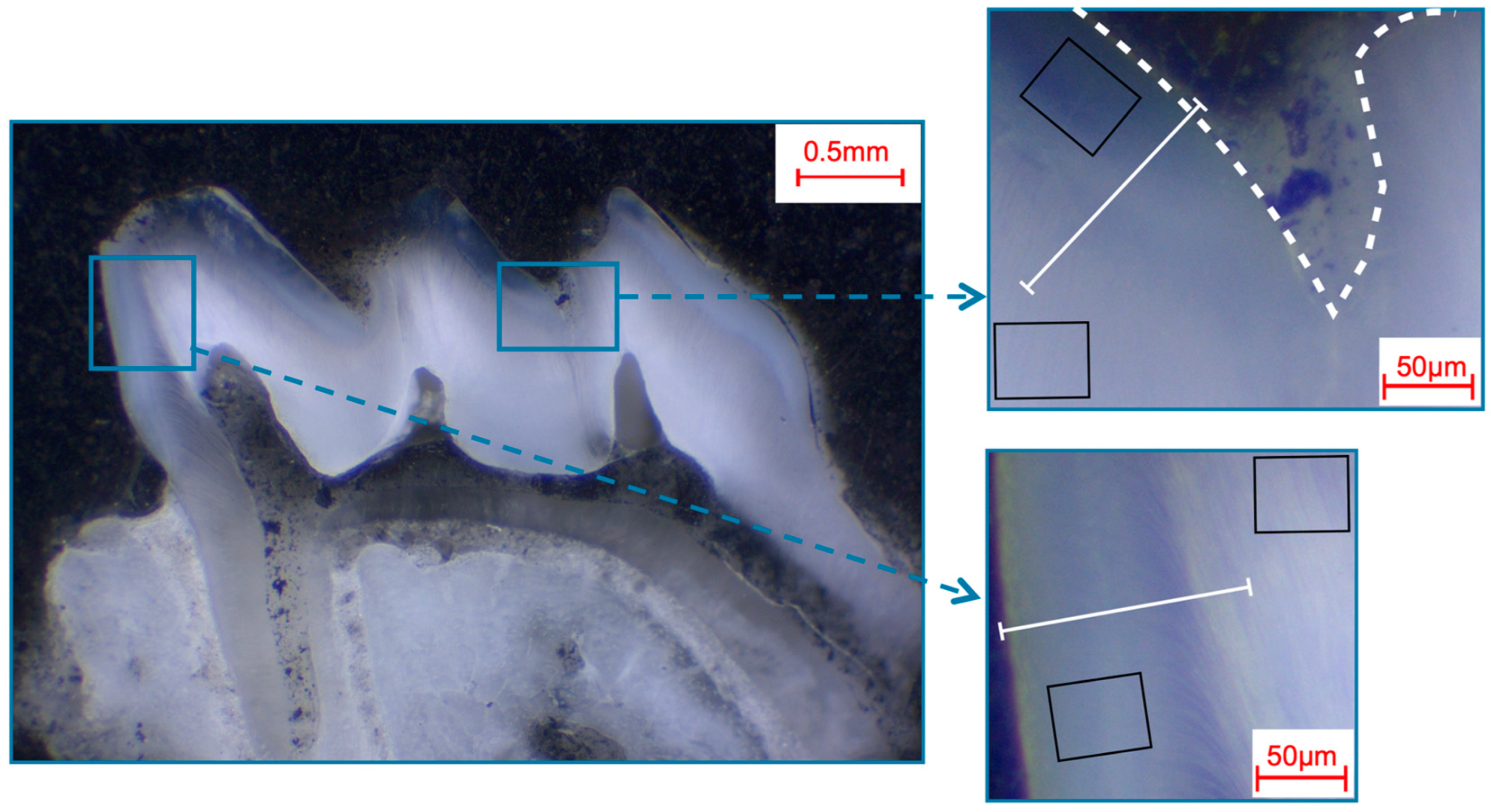 Materials 16 01514 g002