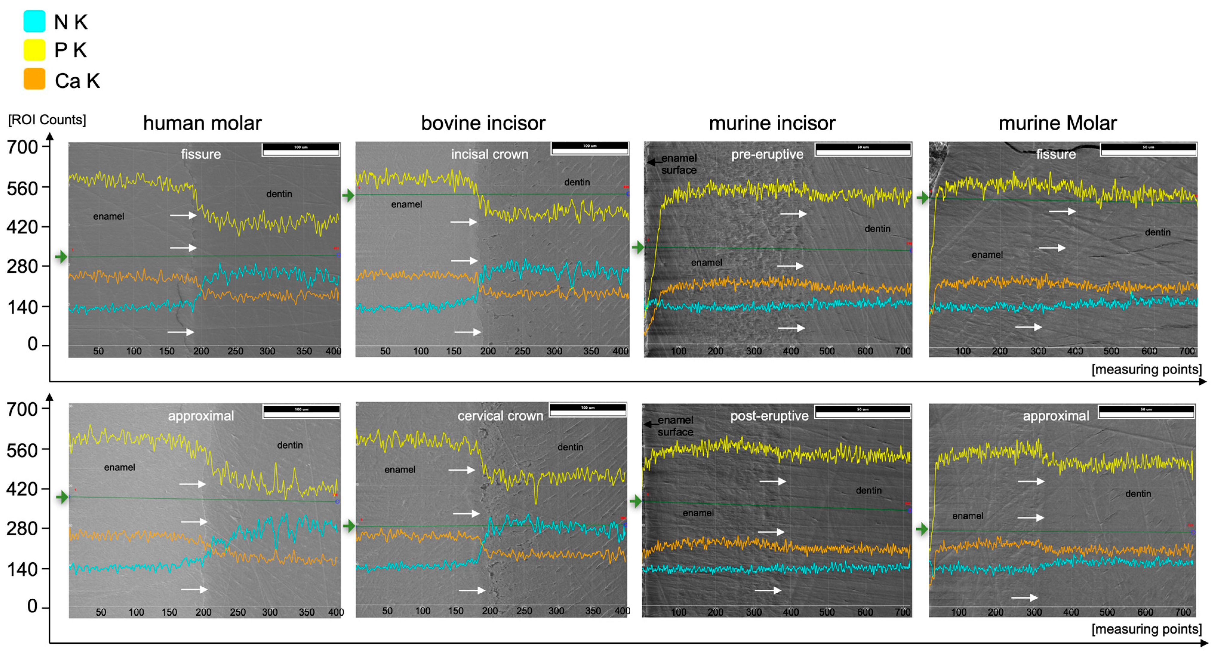 Materials 16 01514 g007