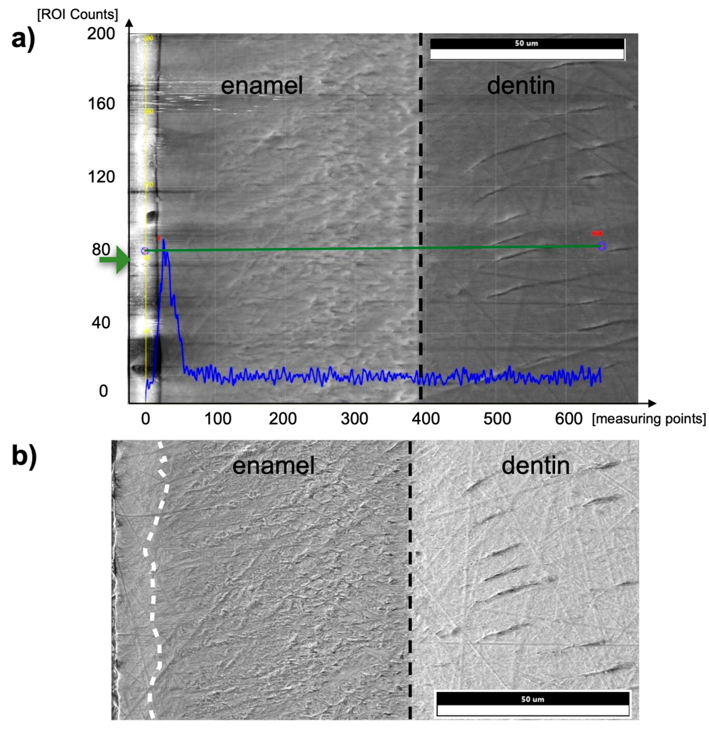 Materials 16 01514 g008