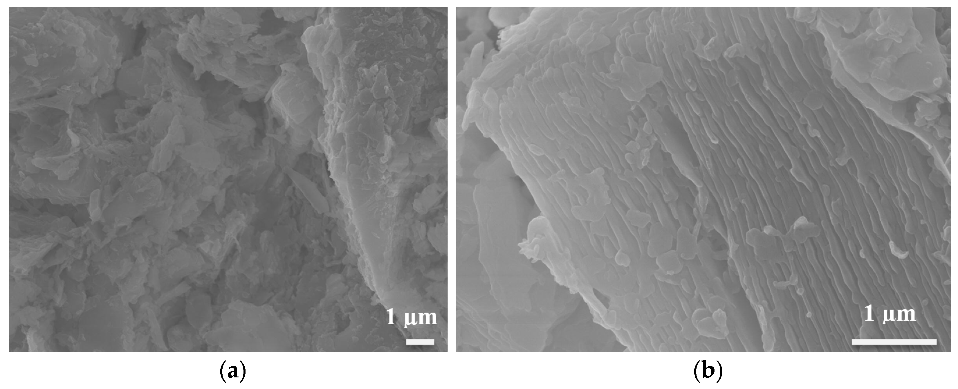 Materials 16 01519 g005