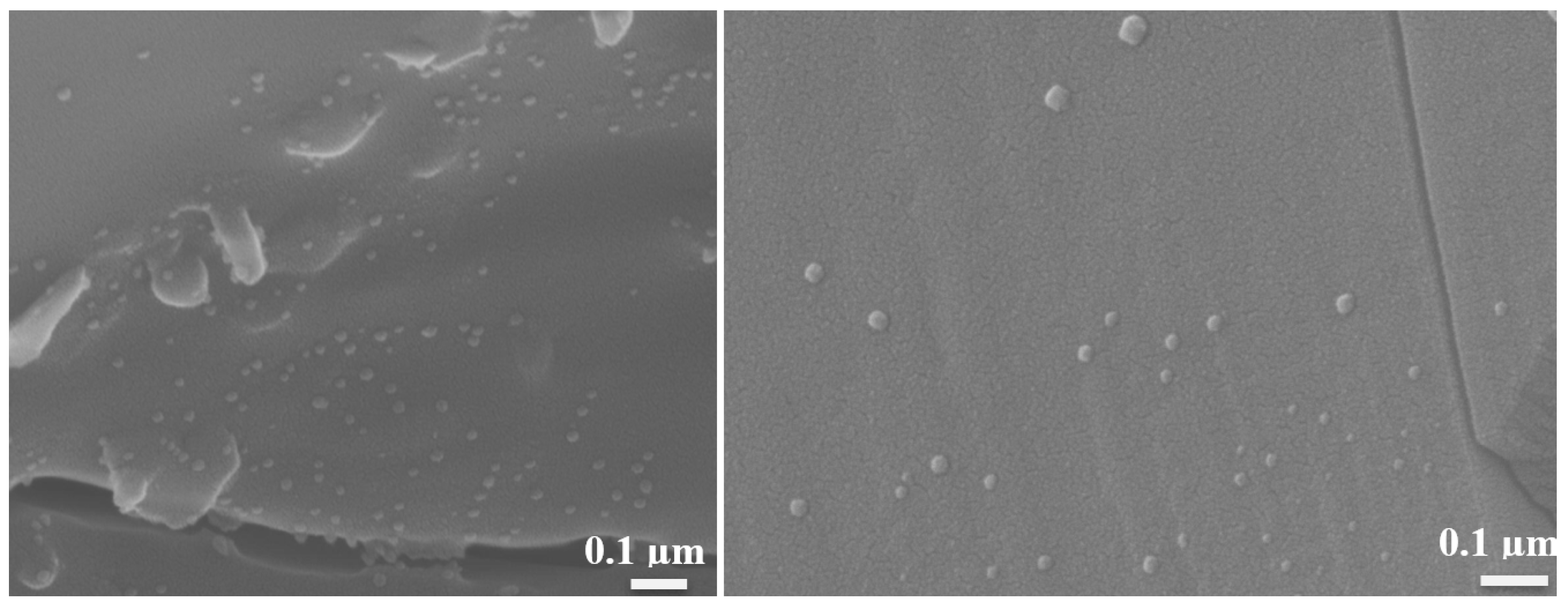 Materials 16 01519 g007