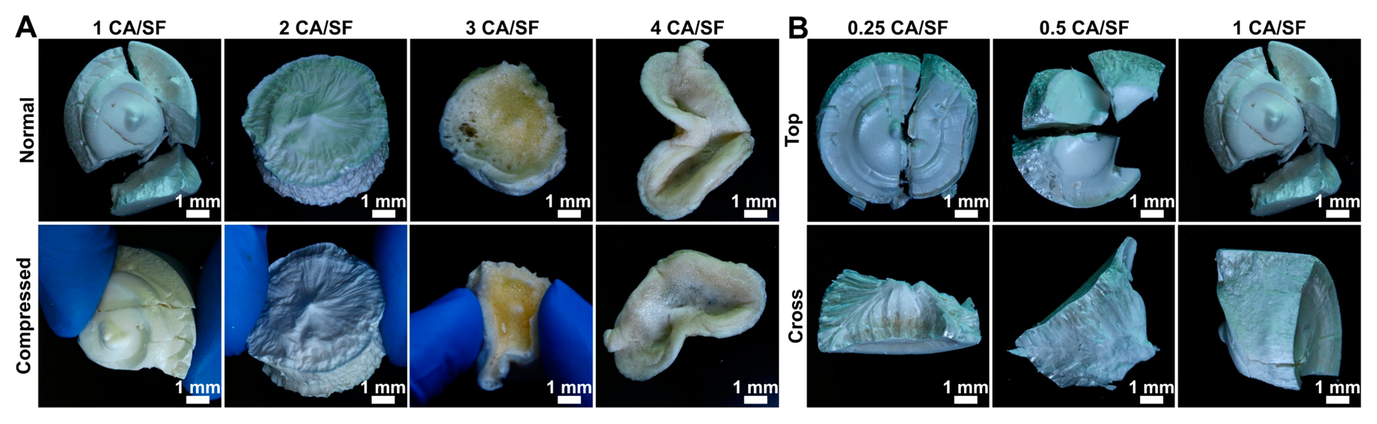 Materials 16 01535 g002