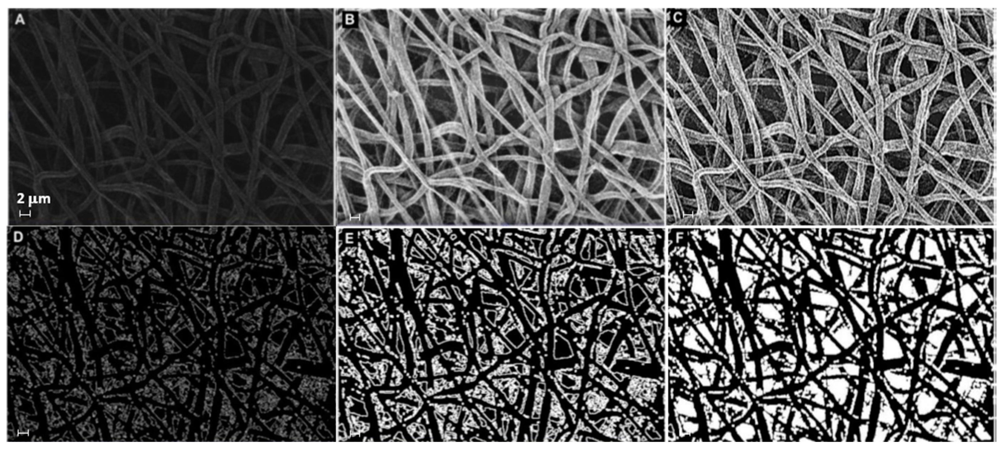 Materials 16 01539 g001