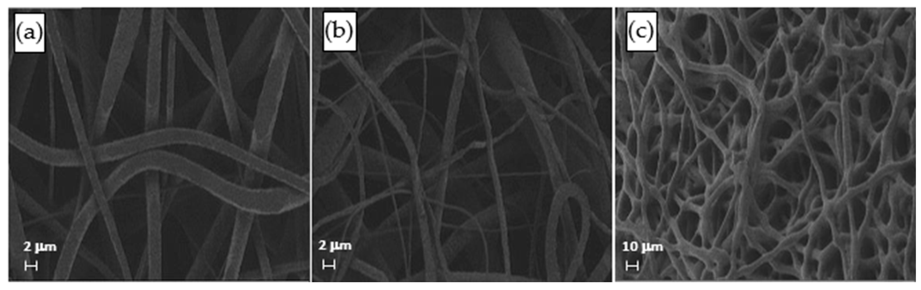 Materials 16 01539 g003