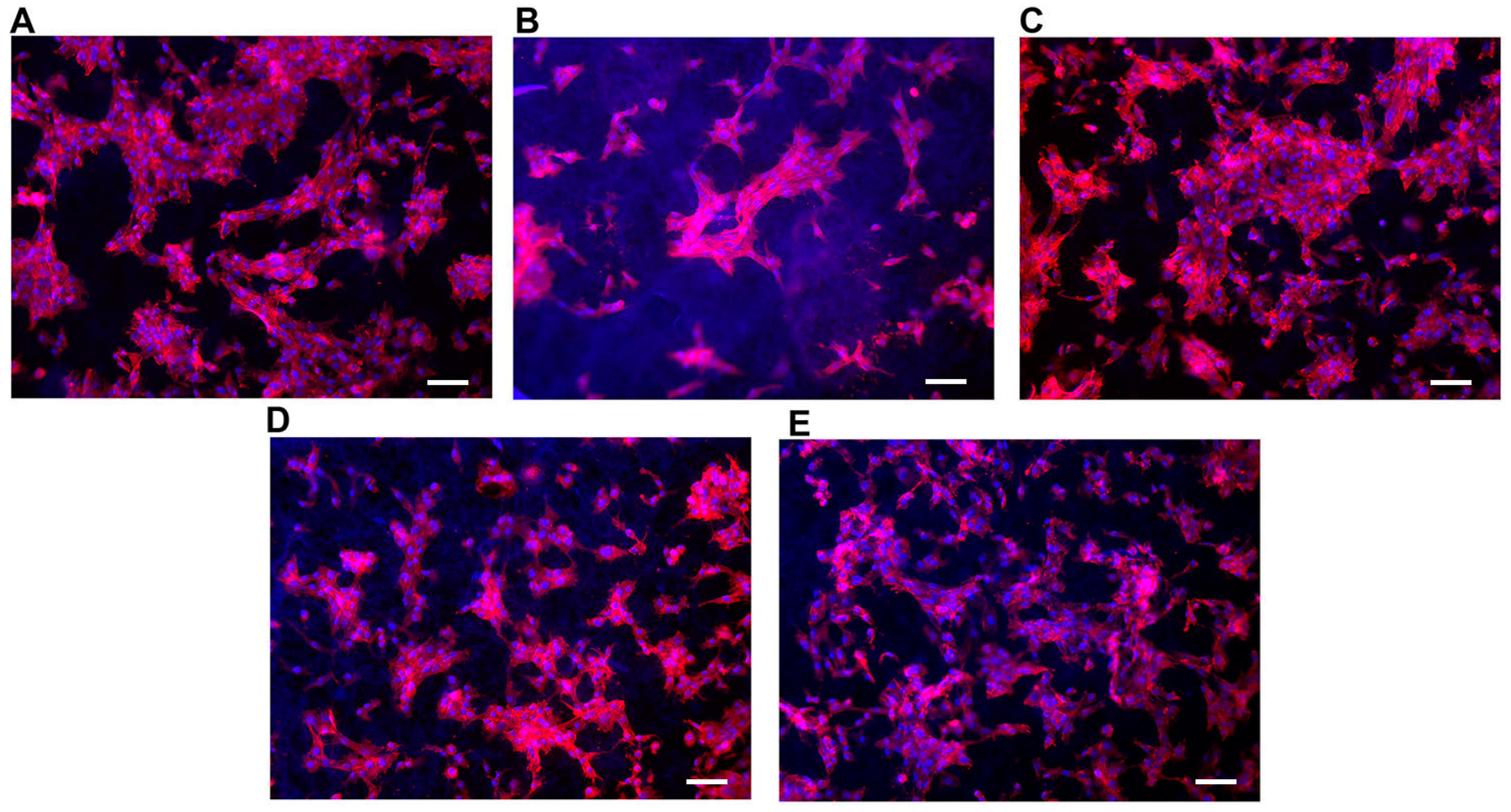 Materials 16 01539 g006