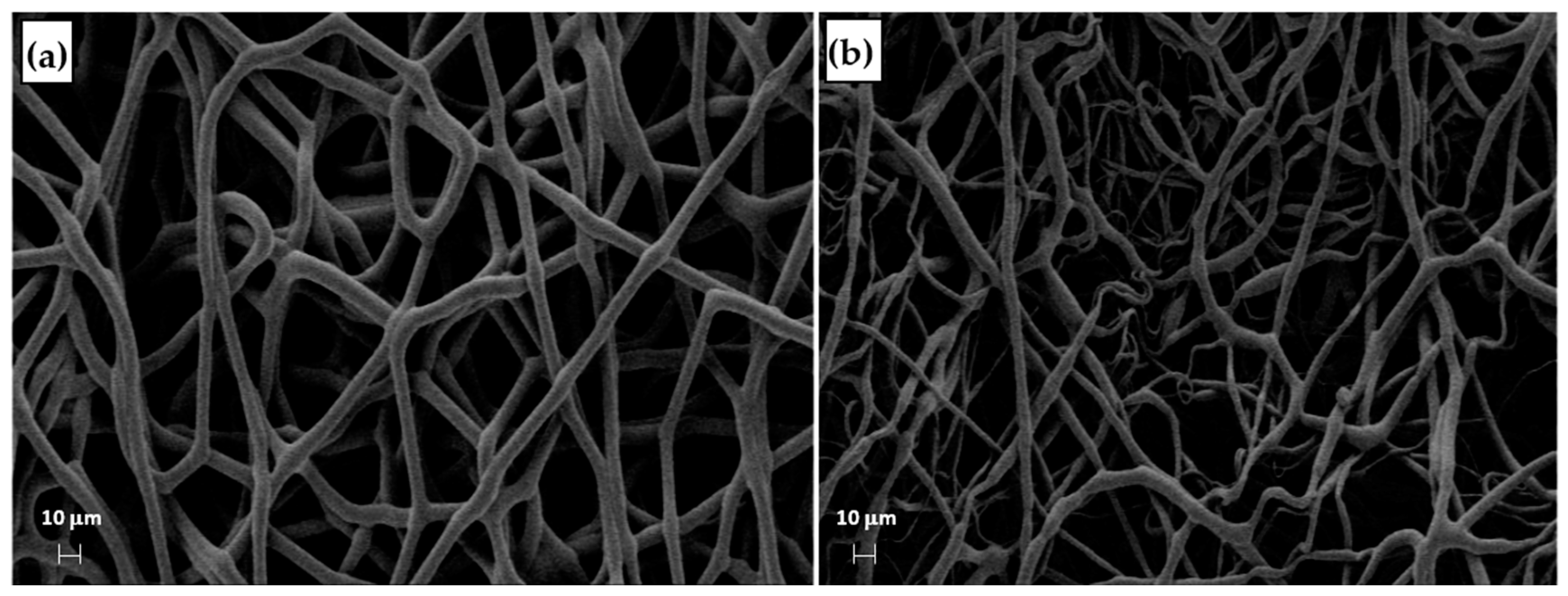 Materials 16 01539 g013