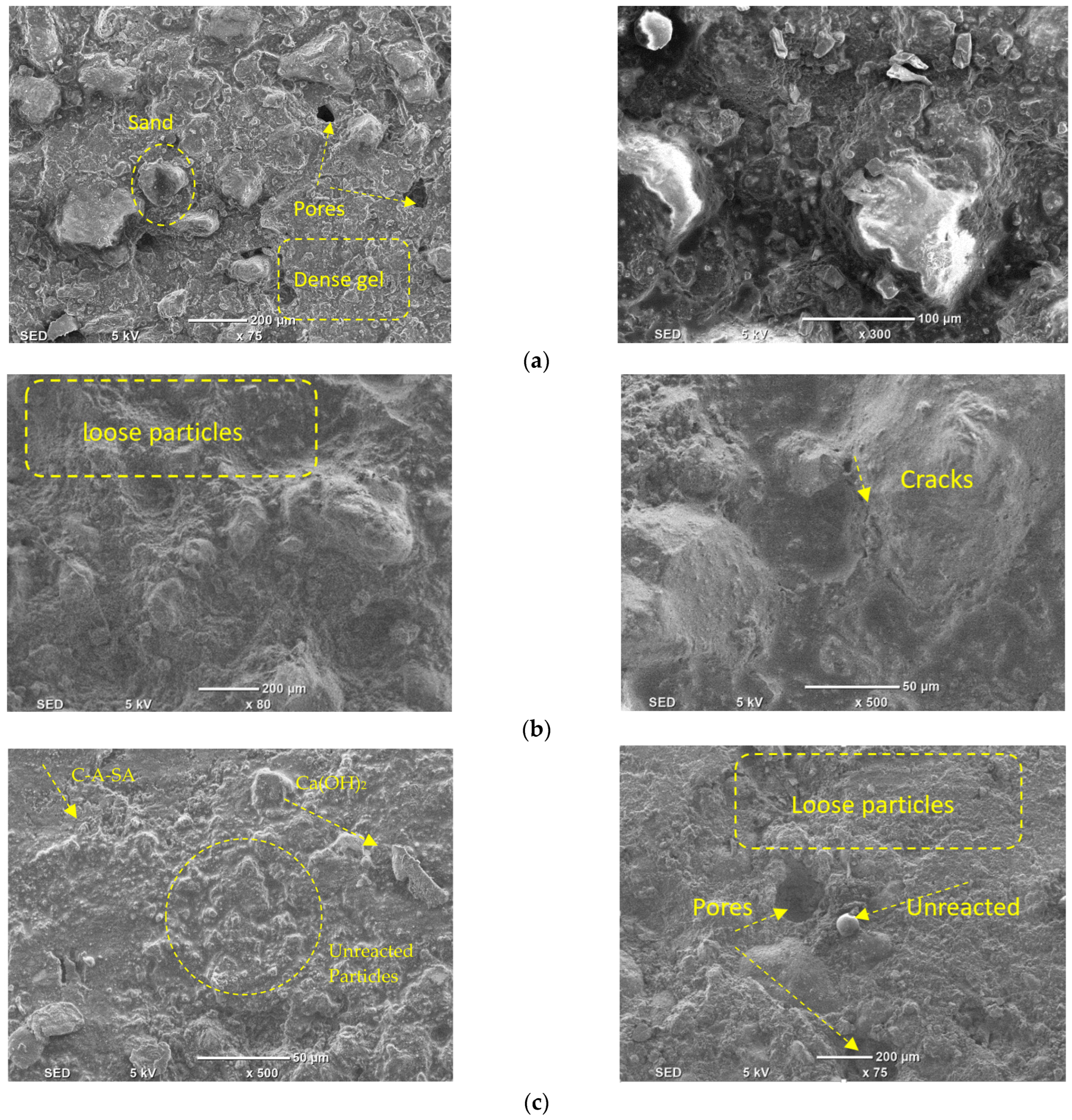Materials 16 01551 g016