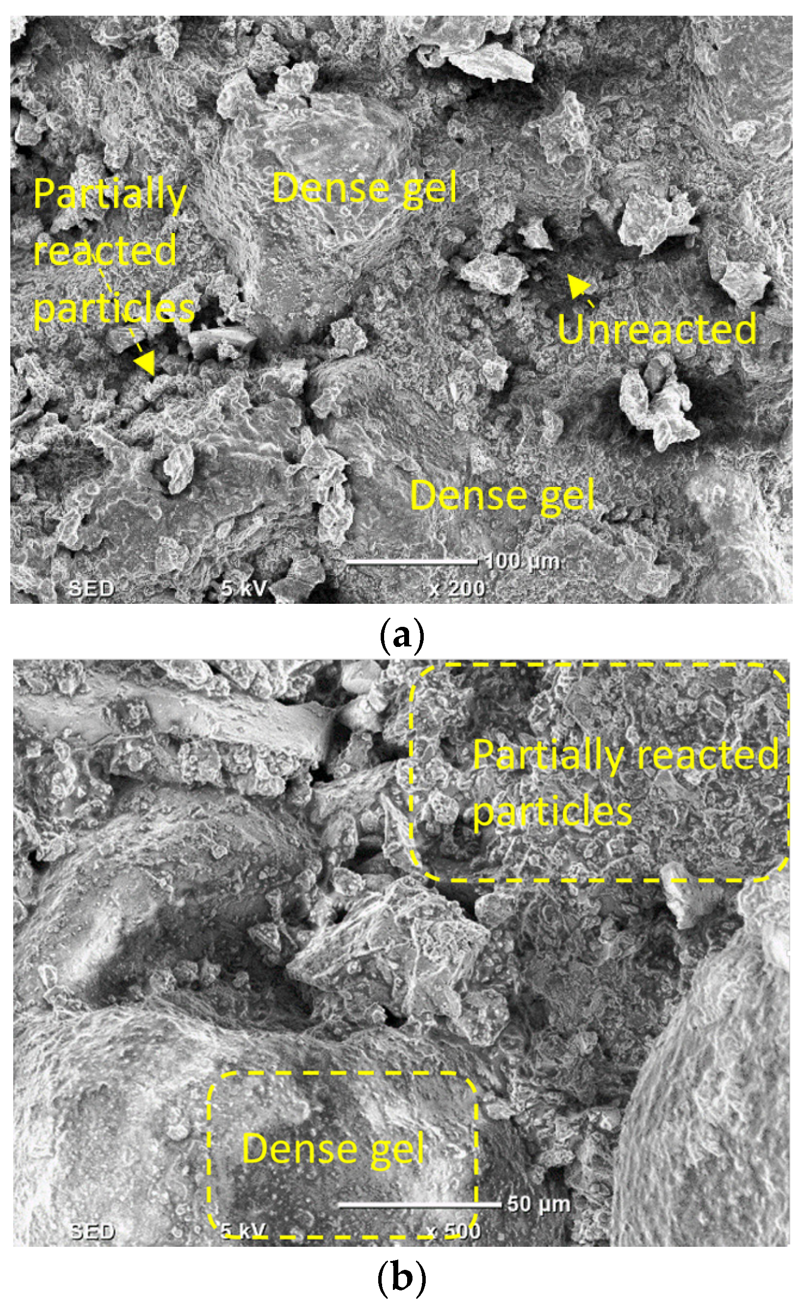 Materials 16 01551 g017