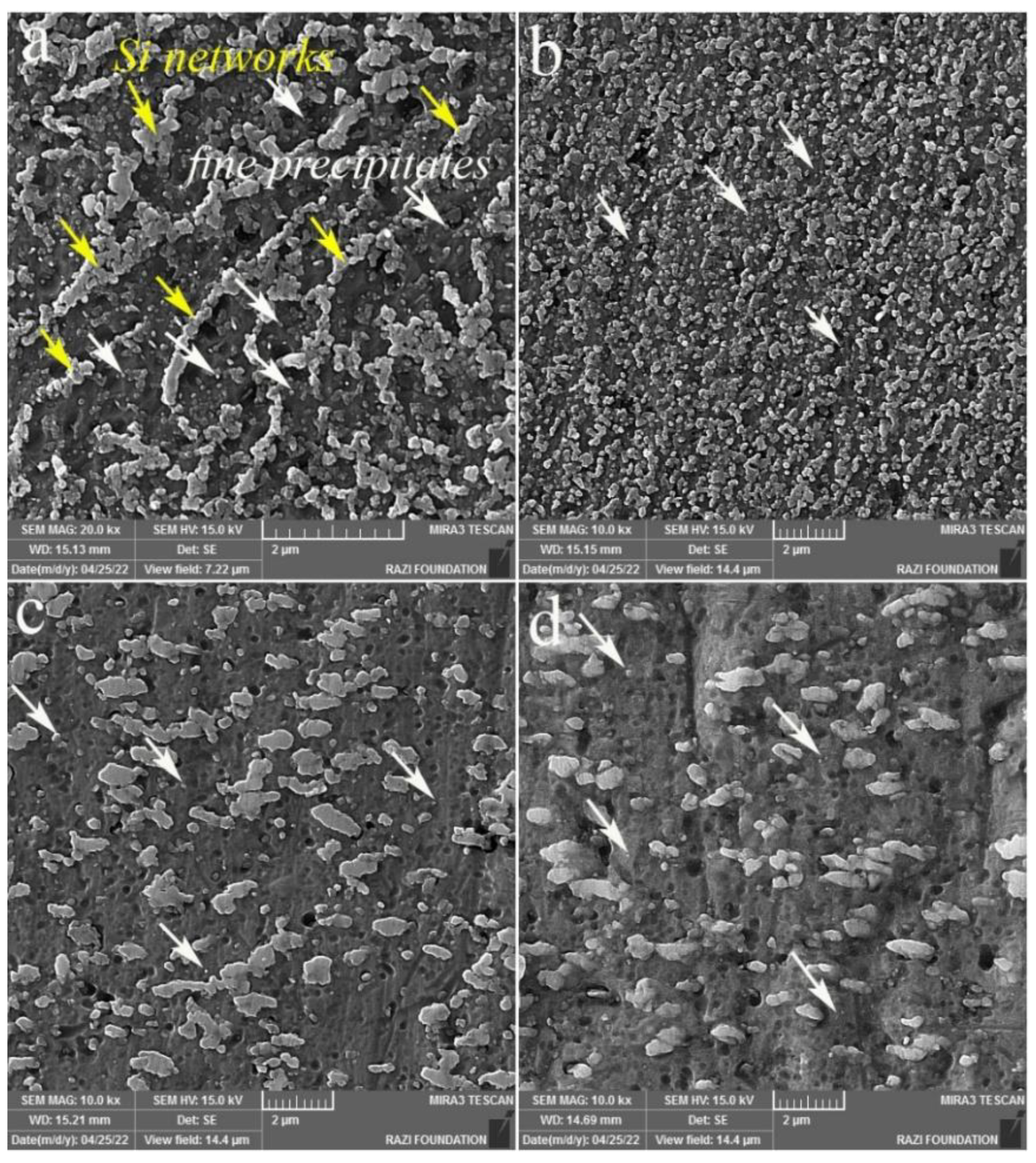 Materials 16 01559 g004