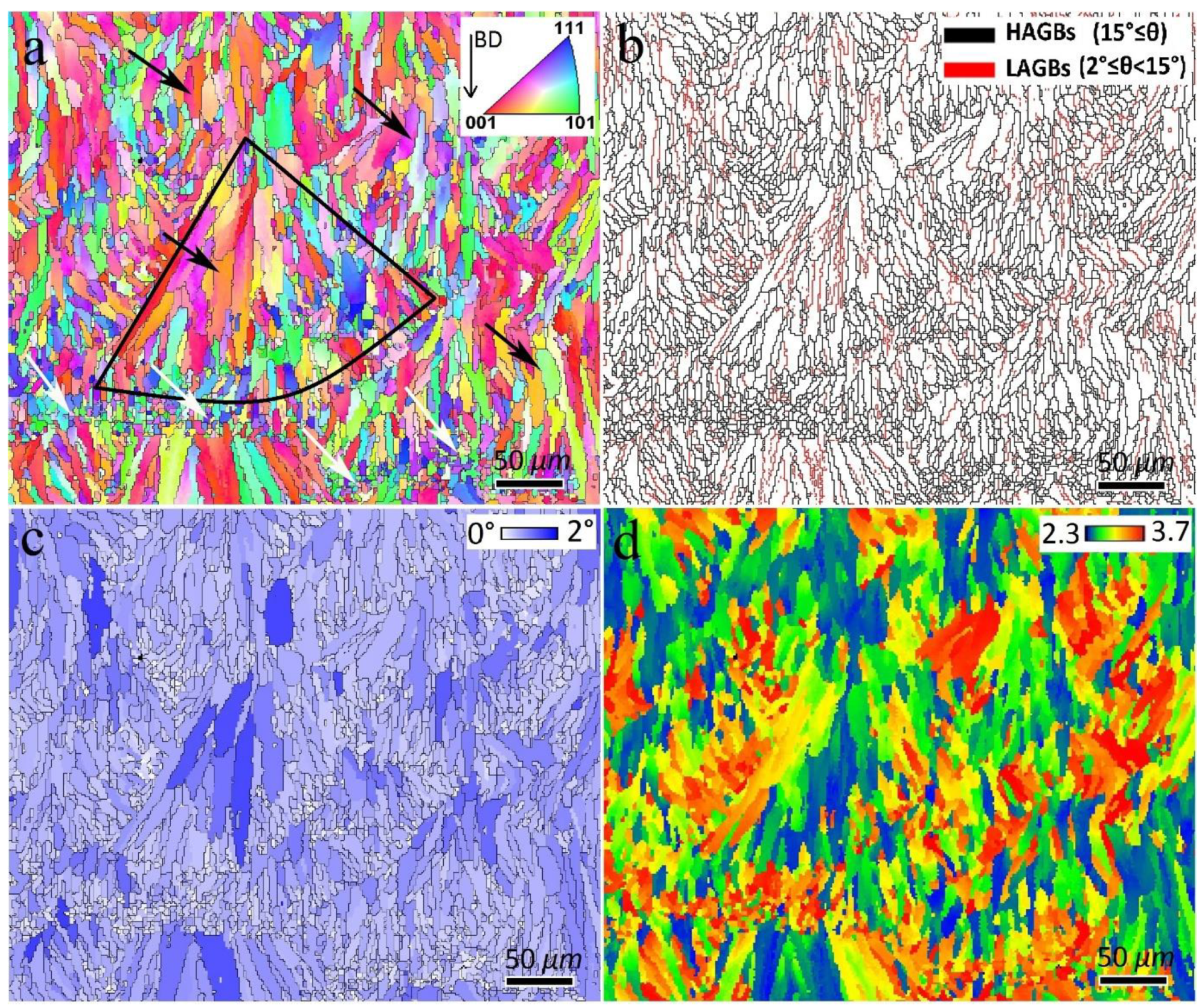 Materials 16 01559 g006