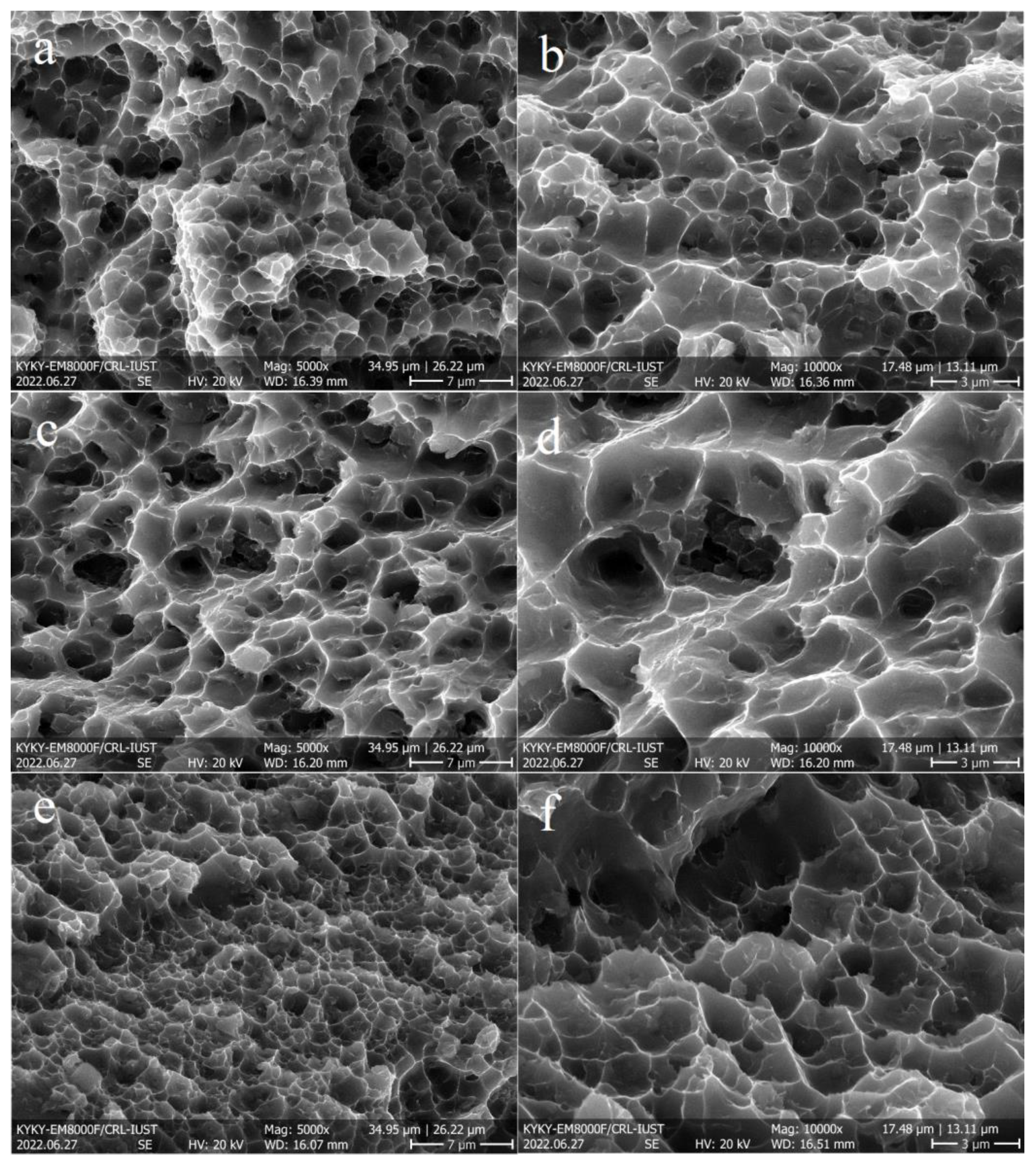 Materials 16 01559 g012