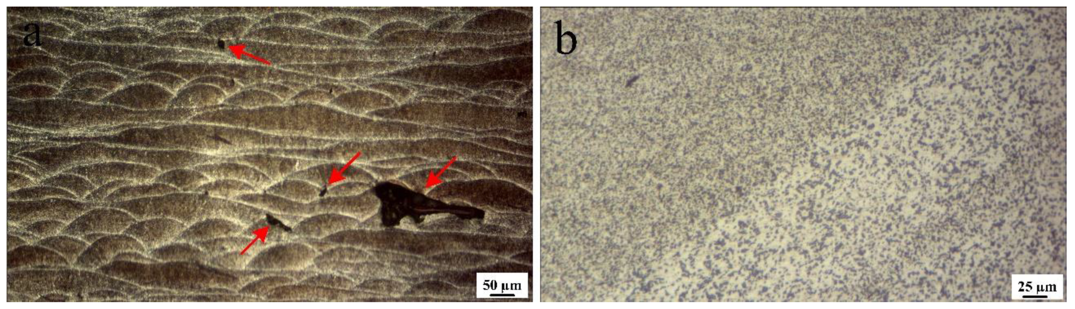 Materials 16 01559 g016