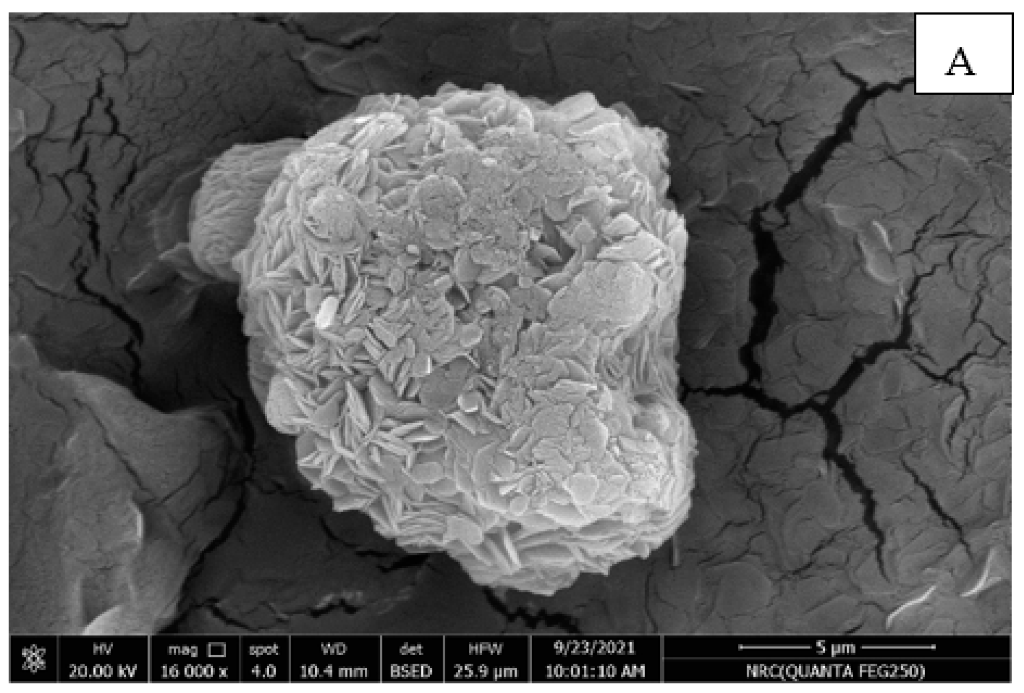 Materials 16 01569 g004a