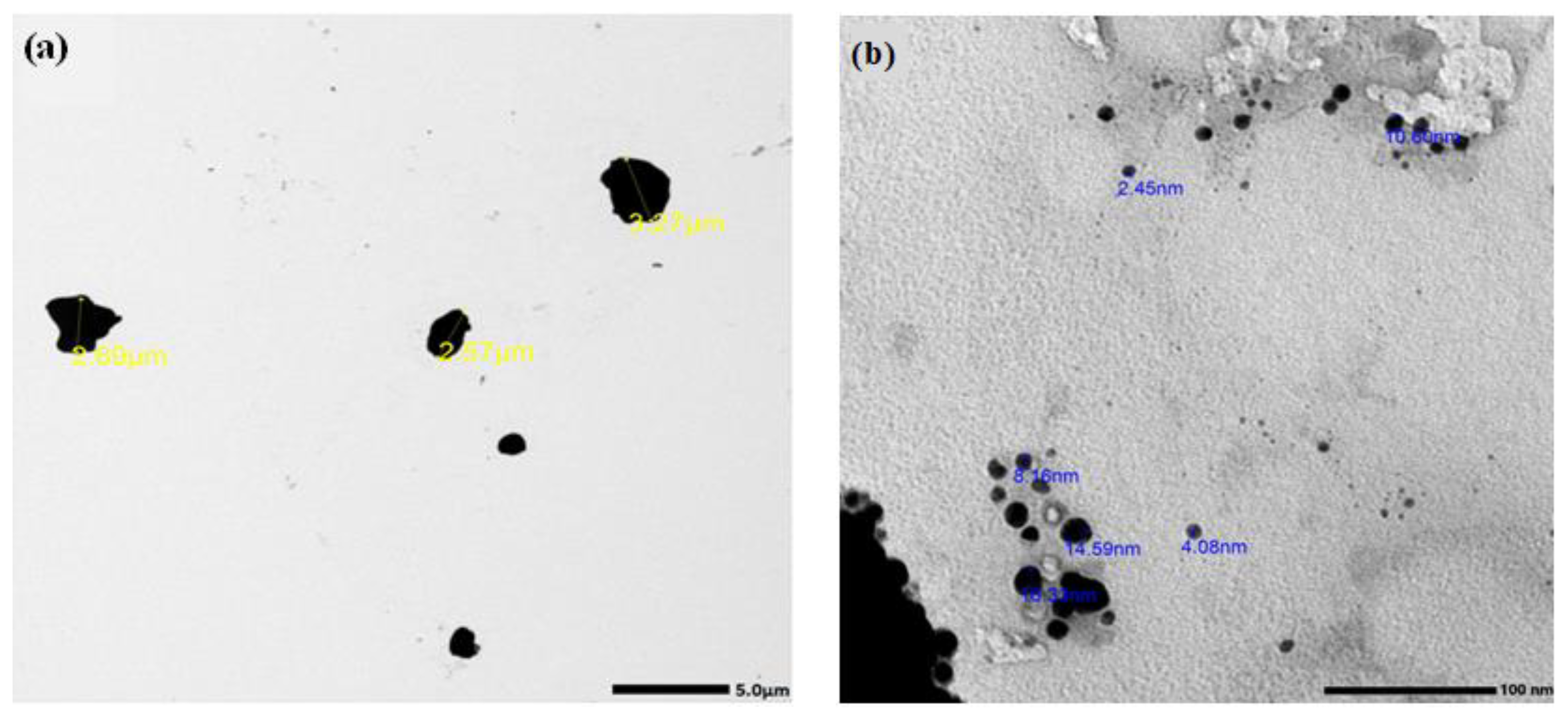 Materials 16 01580 g001