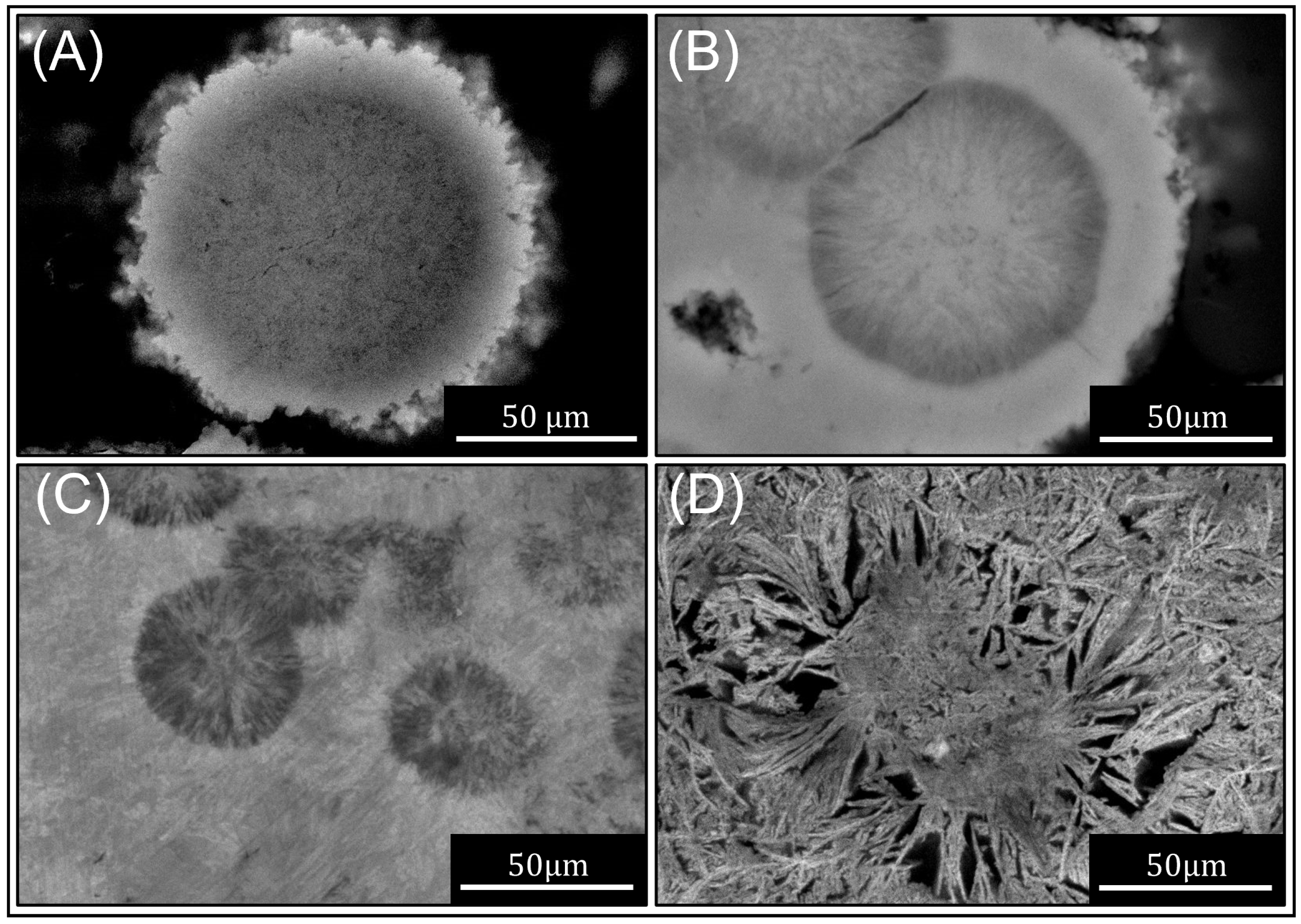 Materials 16 01583 g005 Materials 16 01583 g005