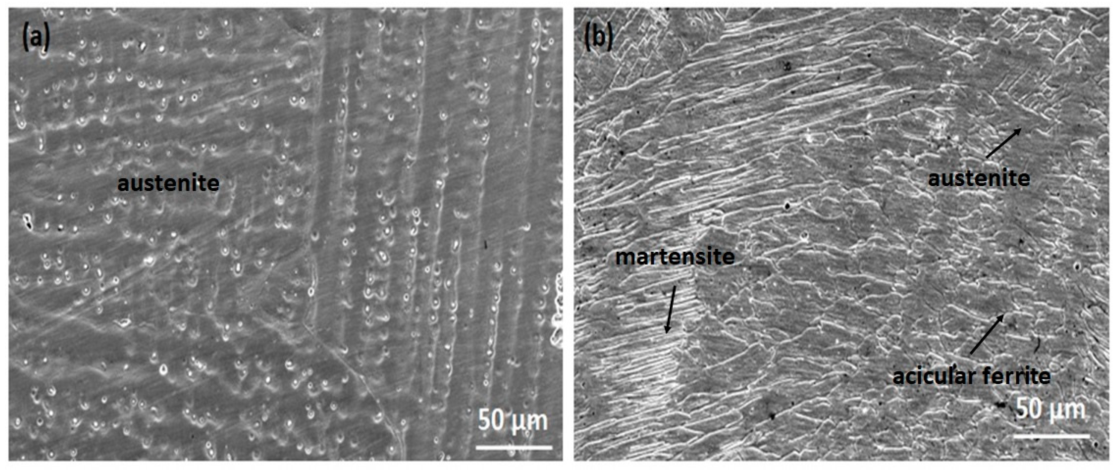 Materials 16 01590 g007 Materials 16 01590 g007