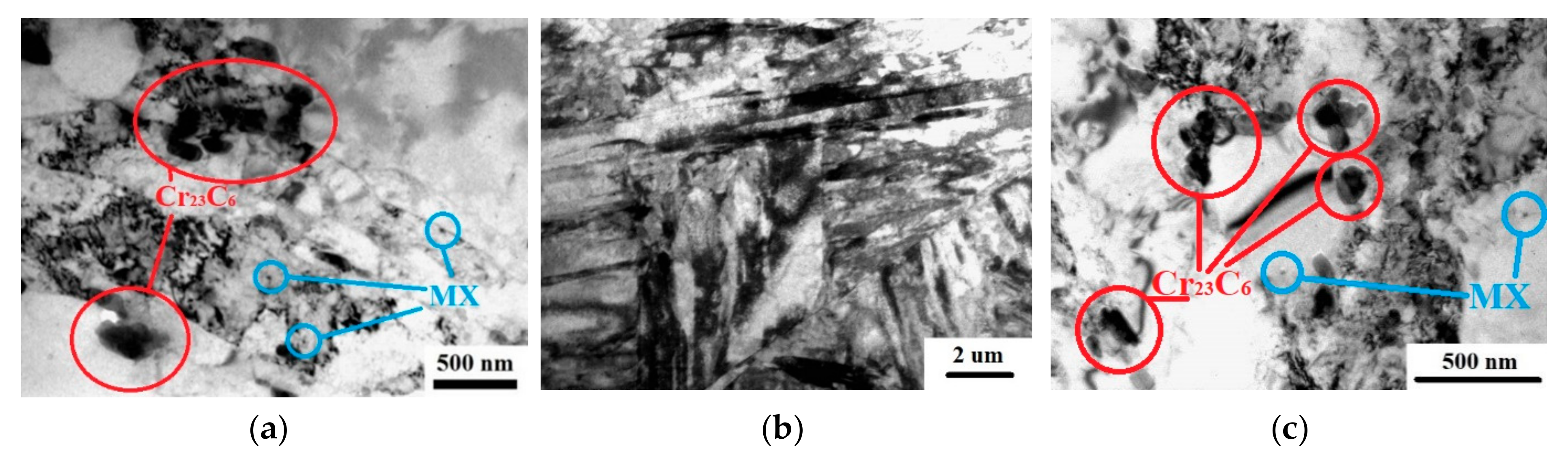 Materials 16 01632 g002 Materials 16 01632 g002