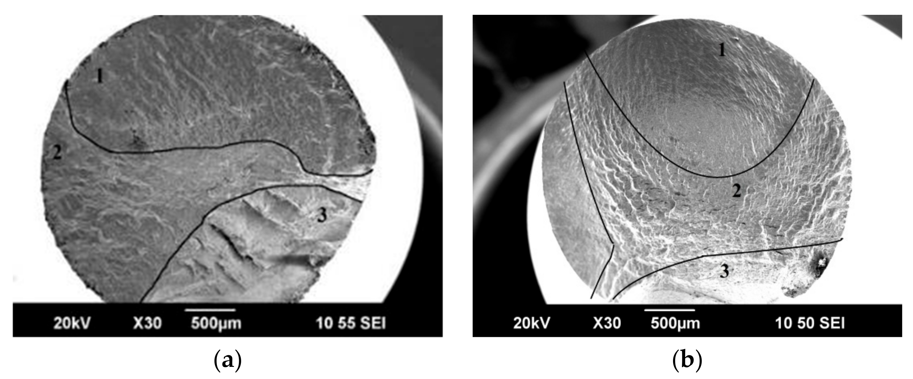Materials 16 01632 g006 Materials 16 01632 g006