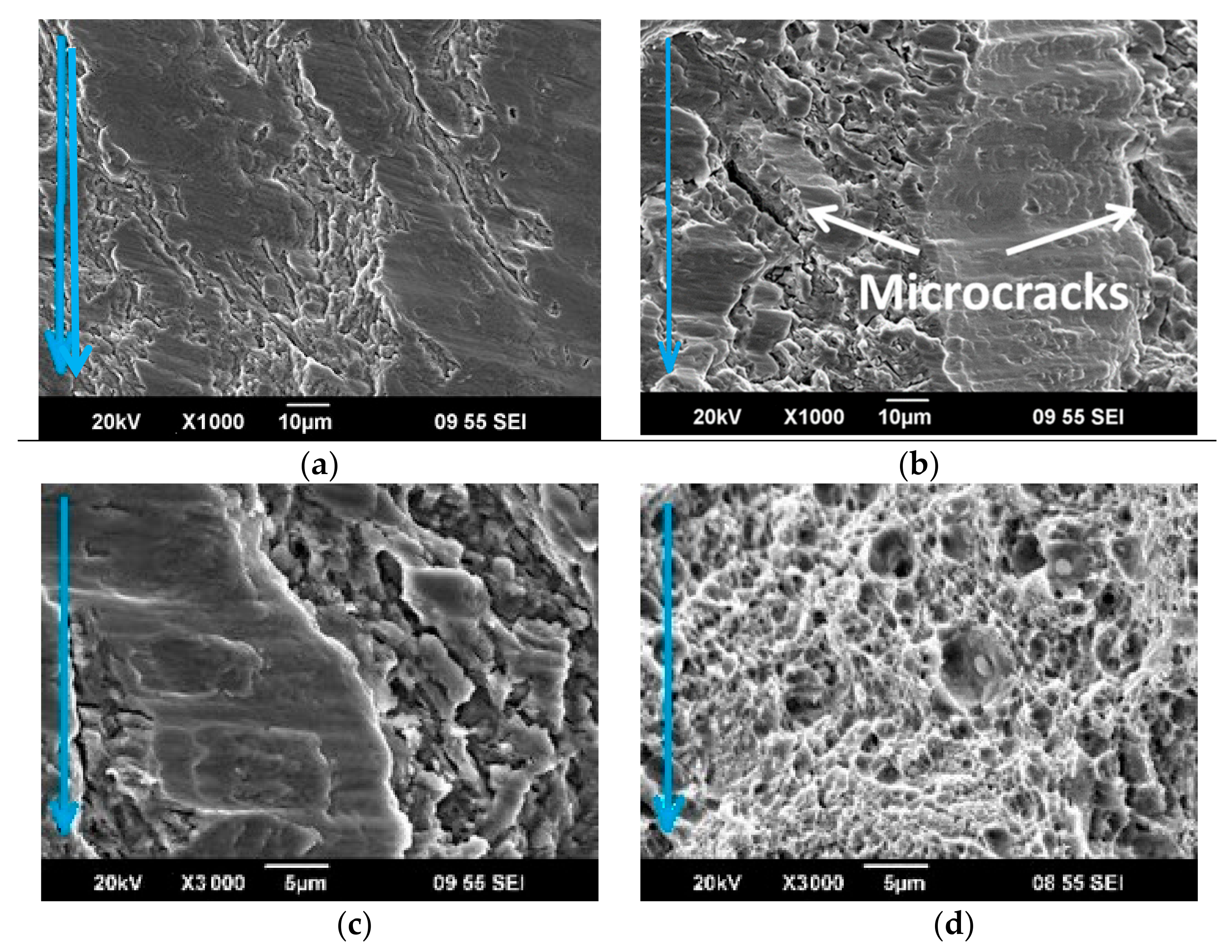 Materials 16 01632 g007 Materials 16 01632 g007