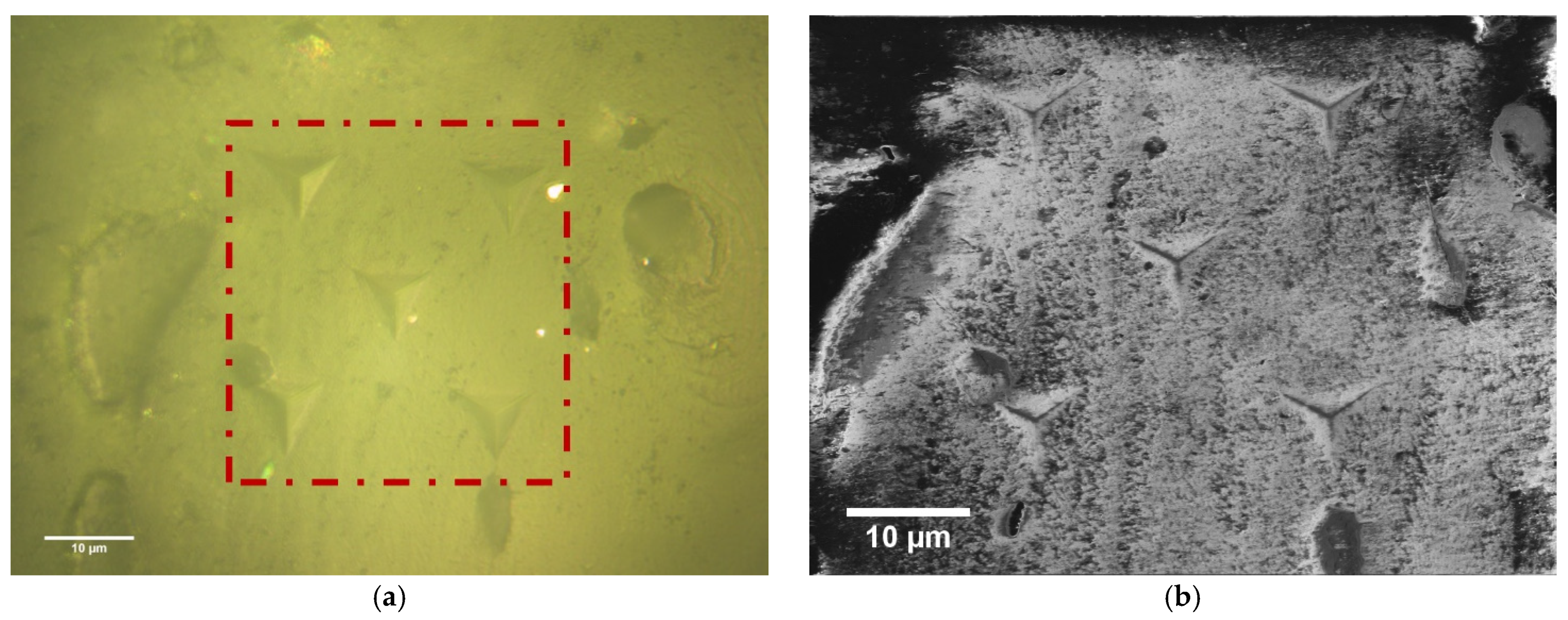 Materials 16 01637 g003