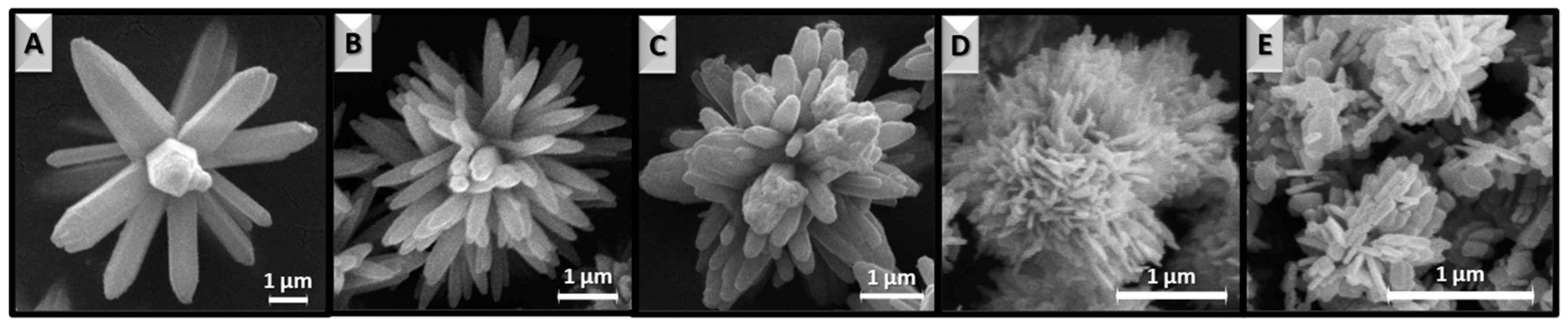 Materials 16 01641 g003