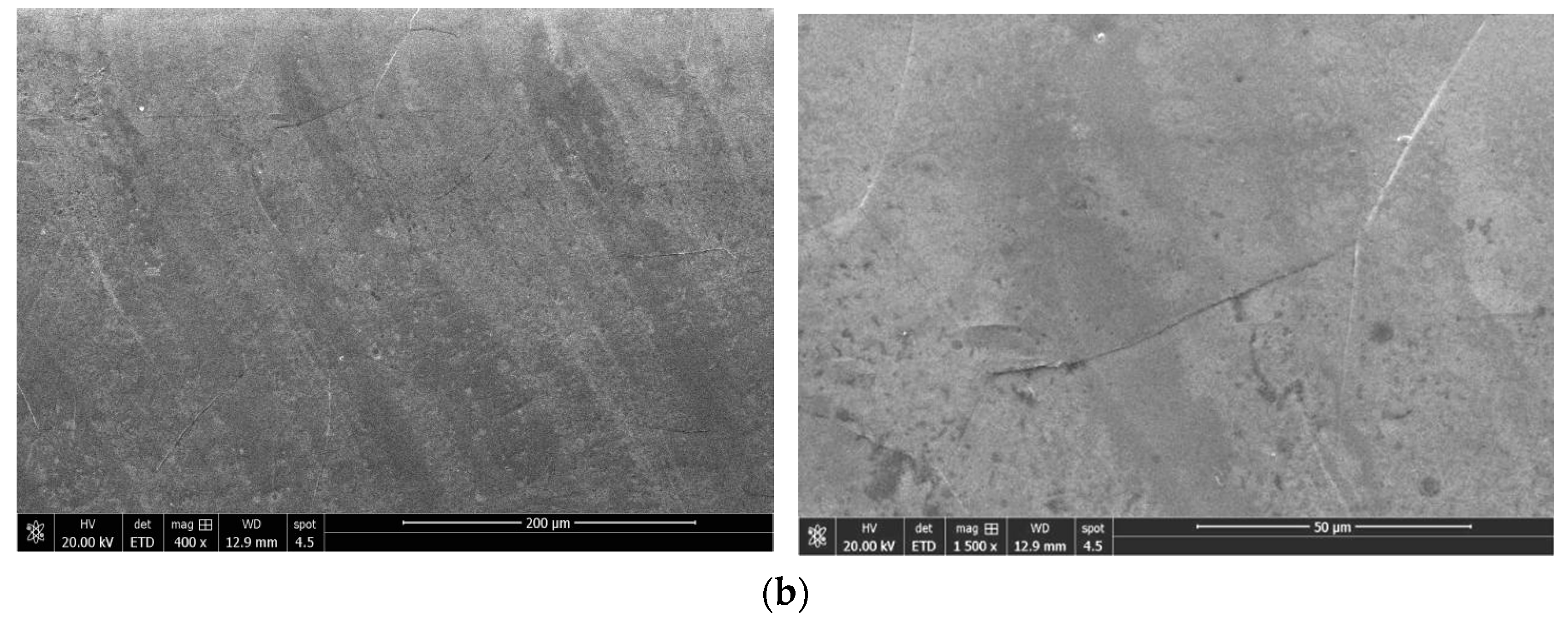 Materials 16 01642 g007b Materials 16 01642 g007b