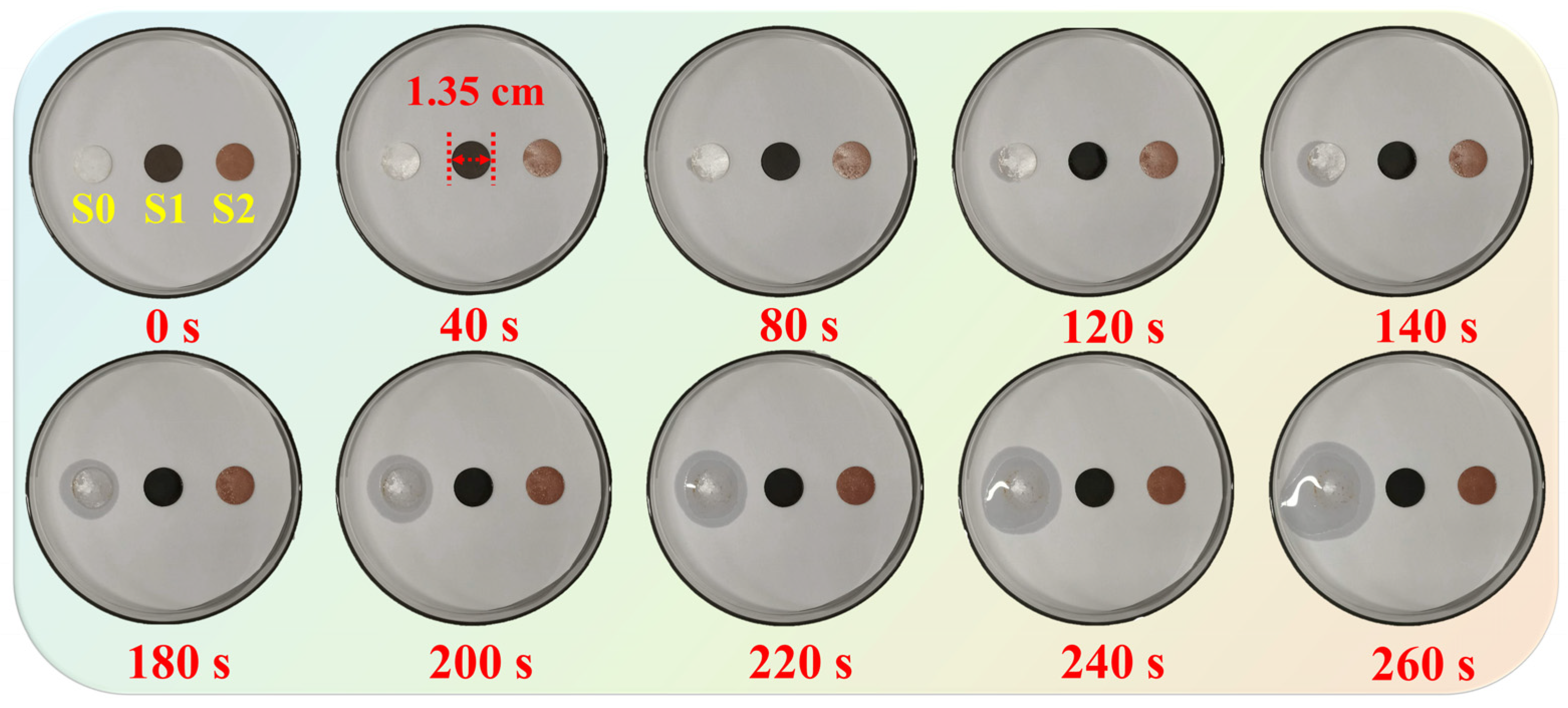 Materials 16 01656 g010