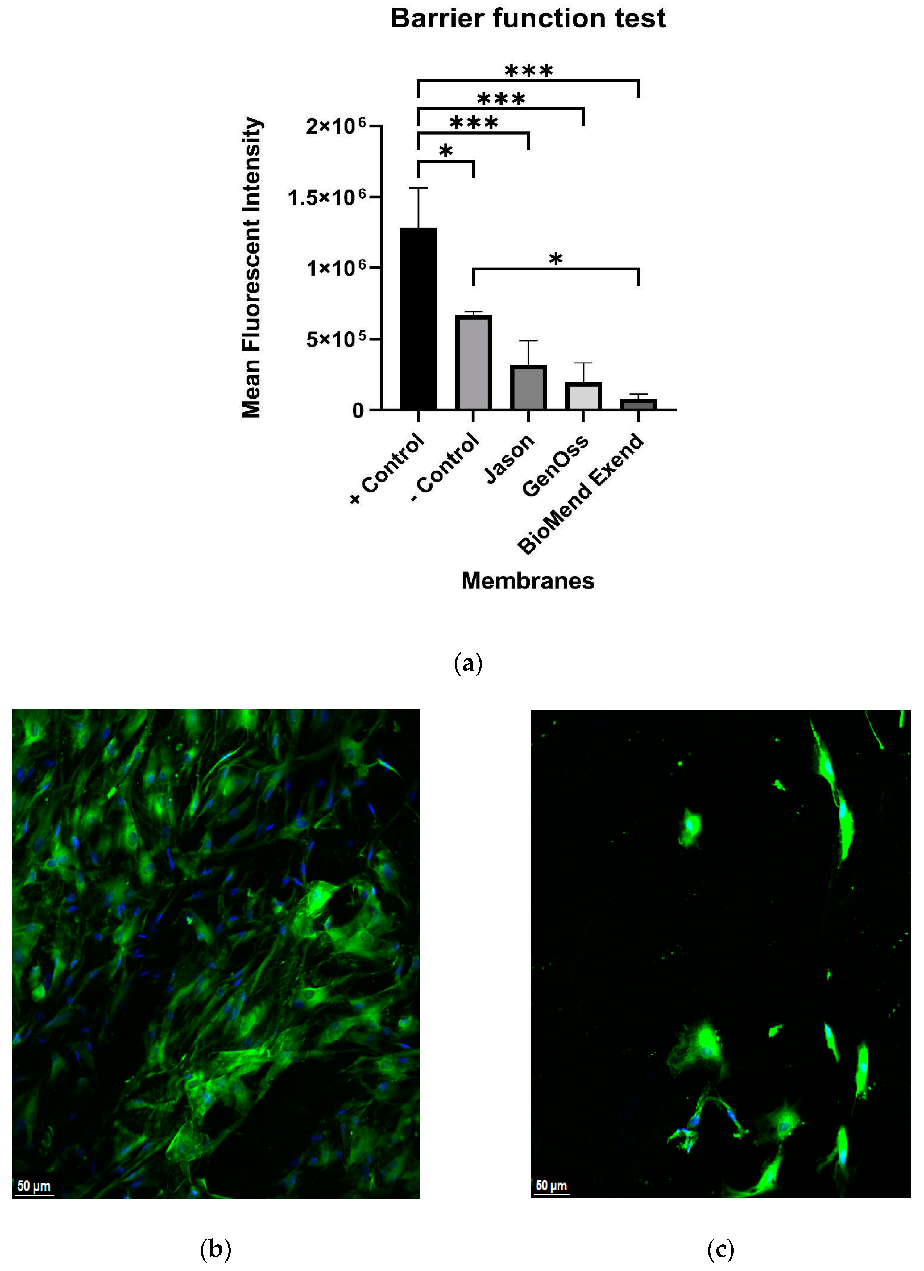 Materials 16 01657 g001a