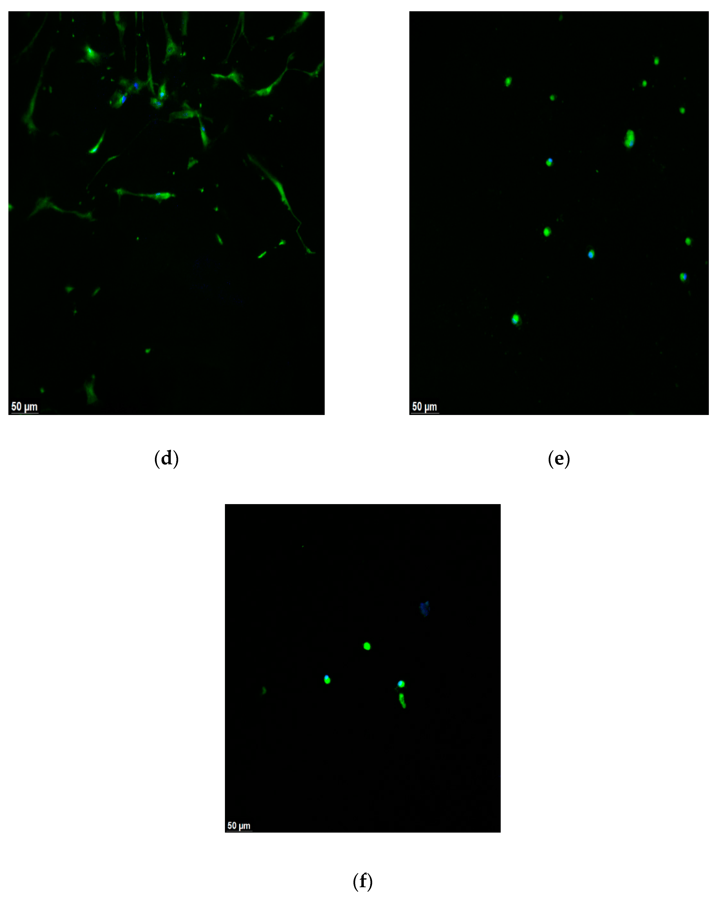 Materials 16 01657 g001b