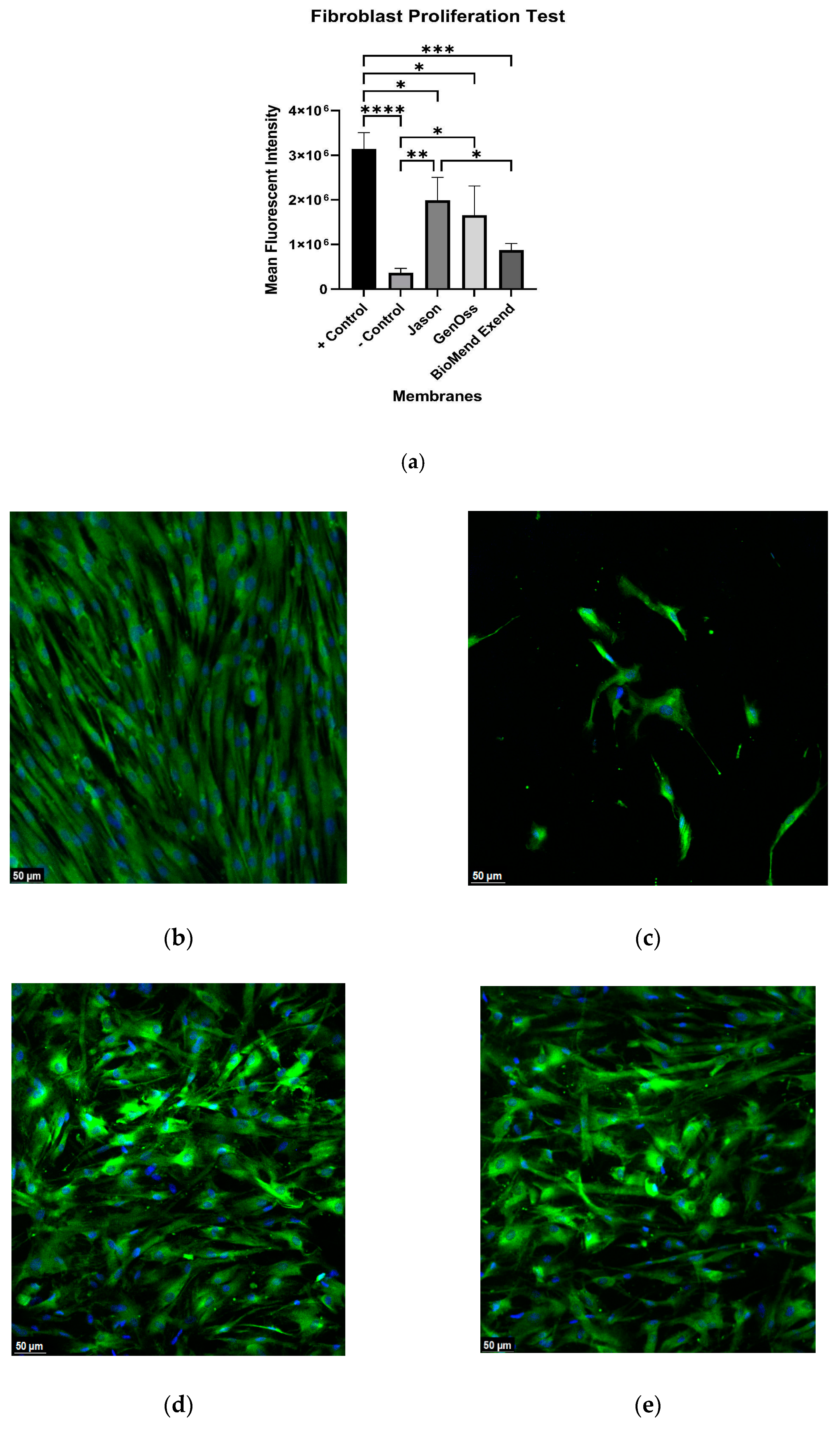 Materials 16 01657 g002a