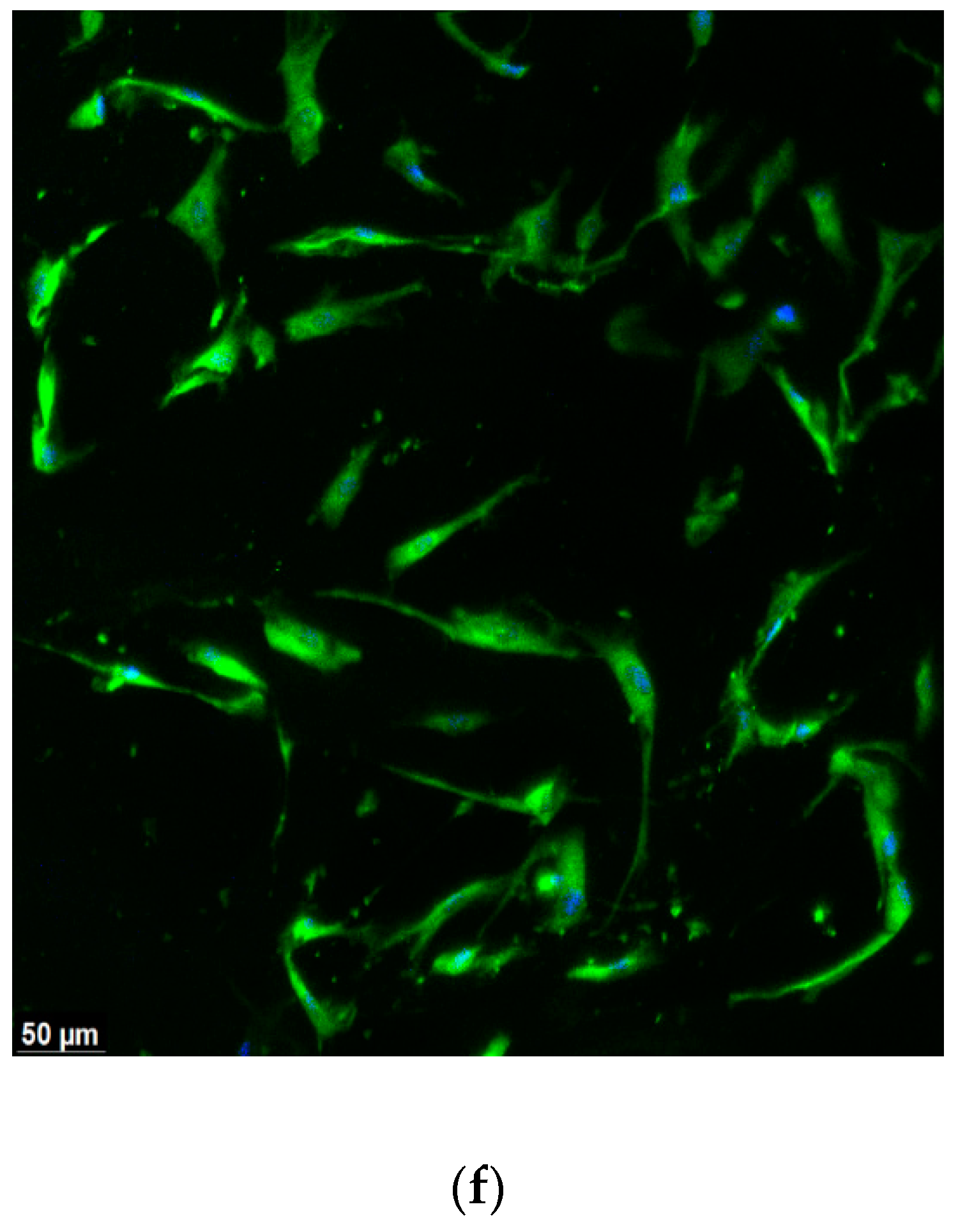 Materials 16 01657 g002b