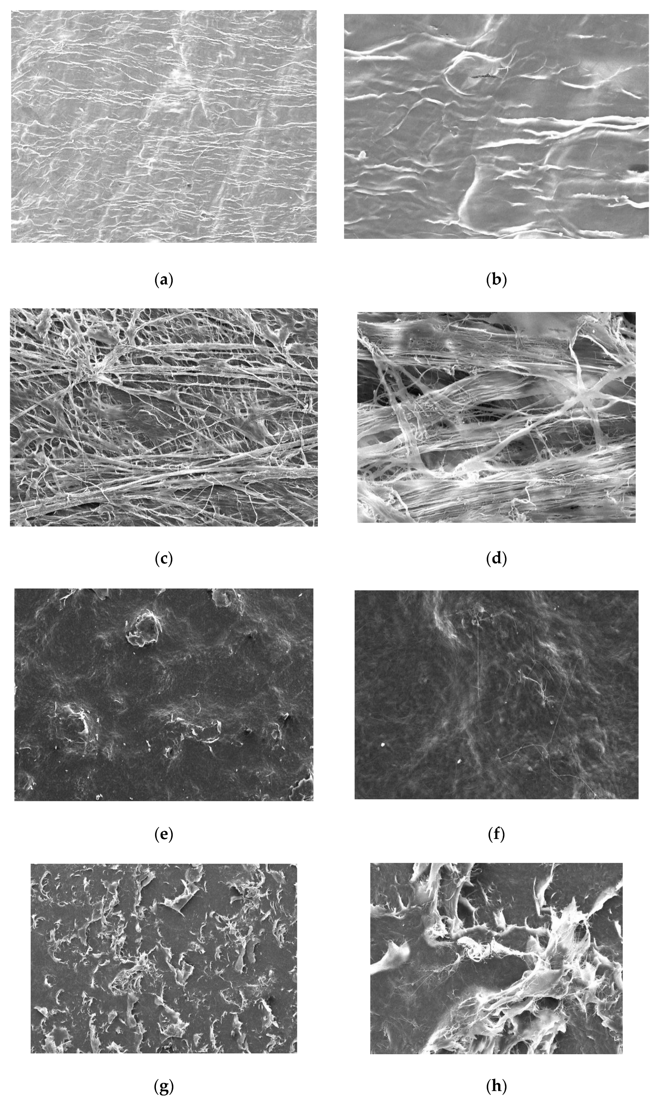 Materials 16 01657 g003a