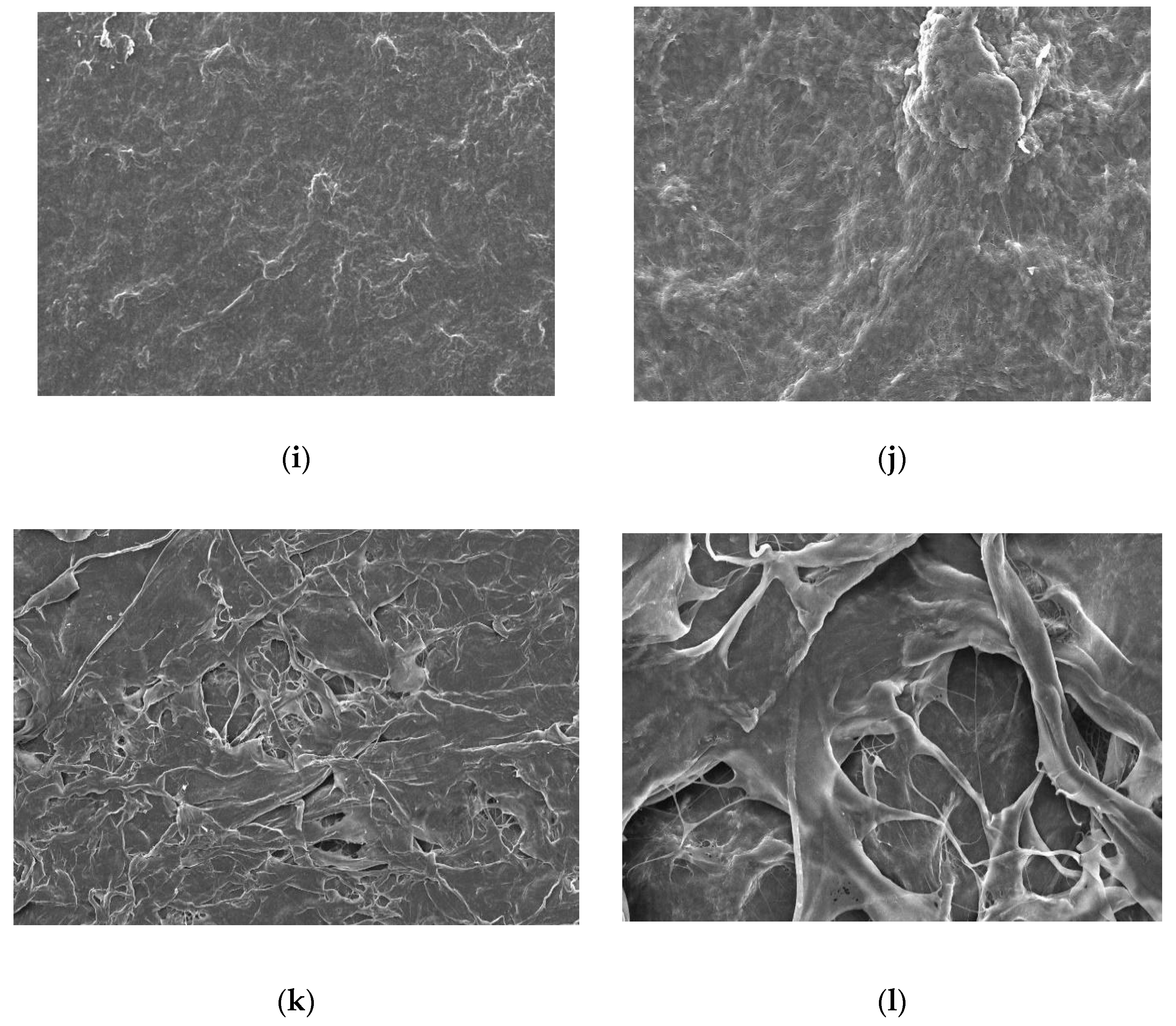 Materials 16 01657 g003b