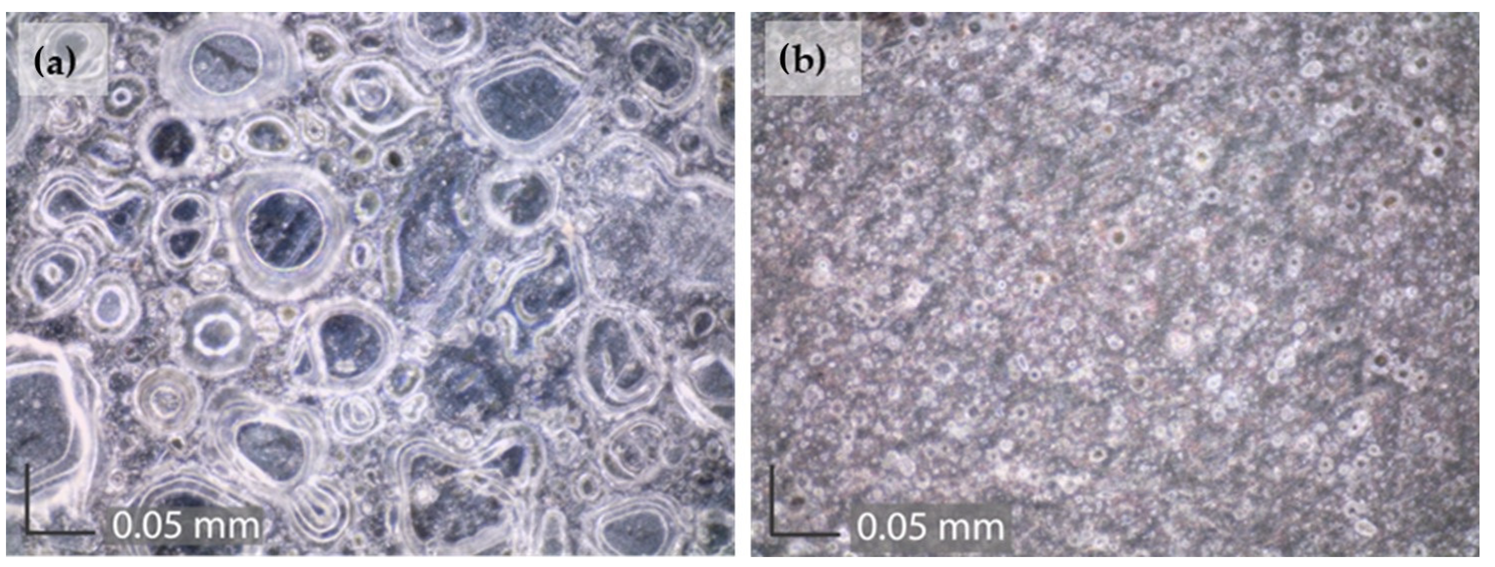 Materials 16 01660 g009