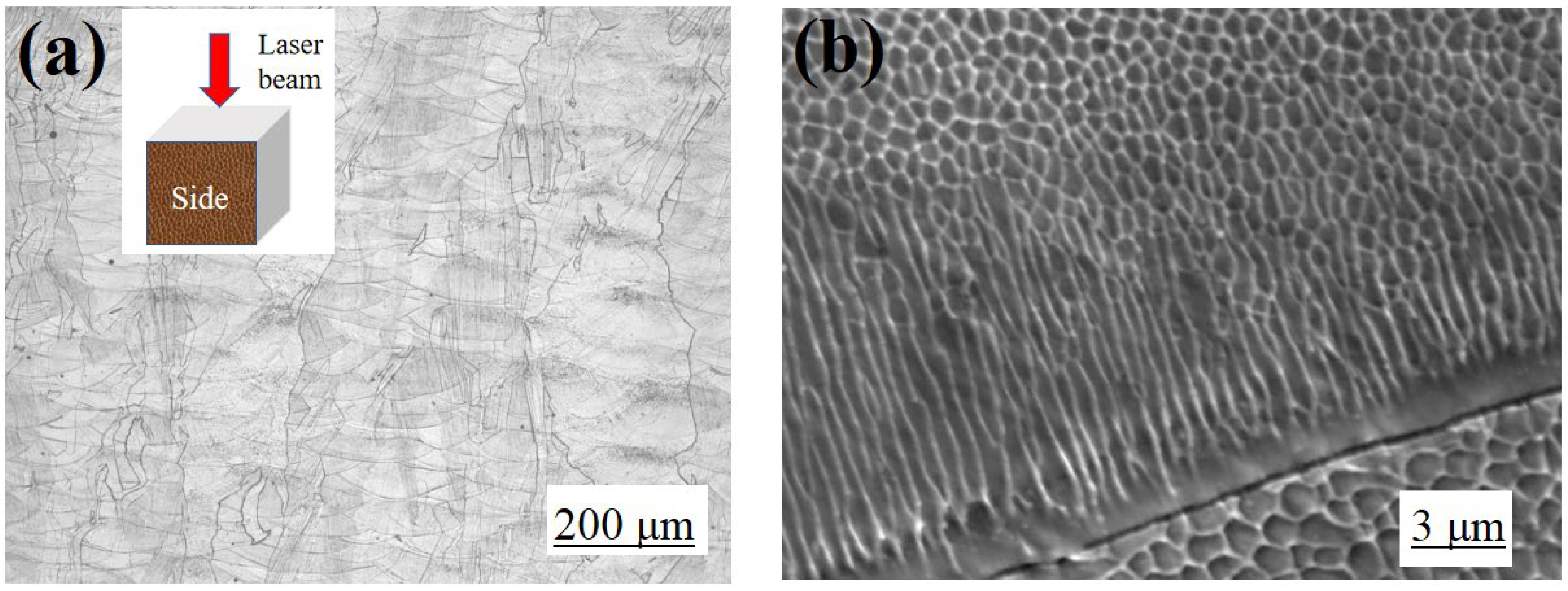 Materials 16 01661 g006