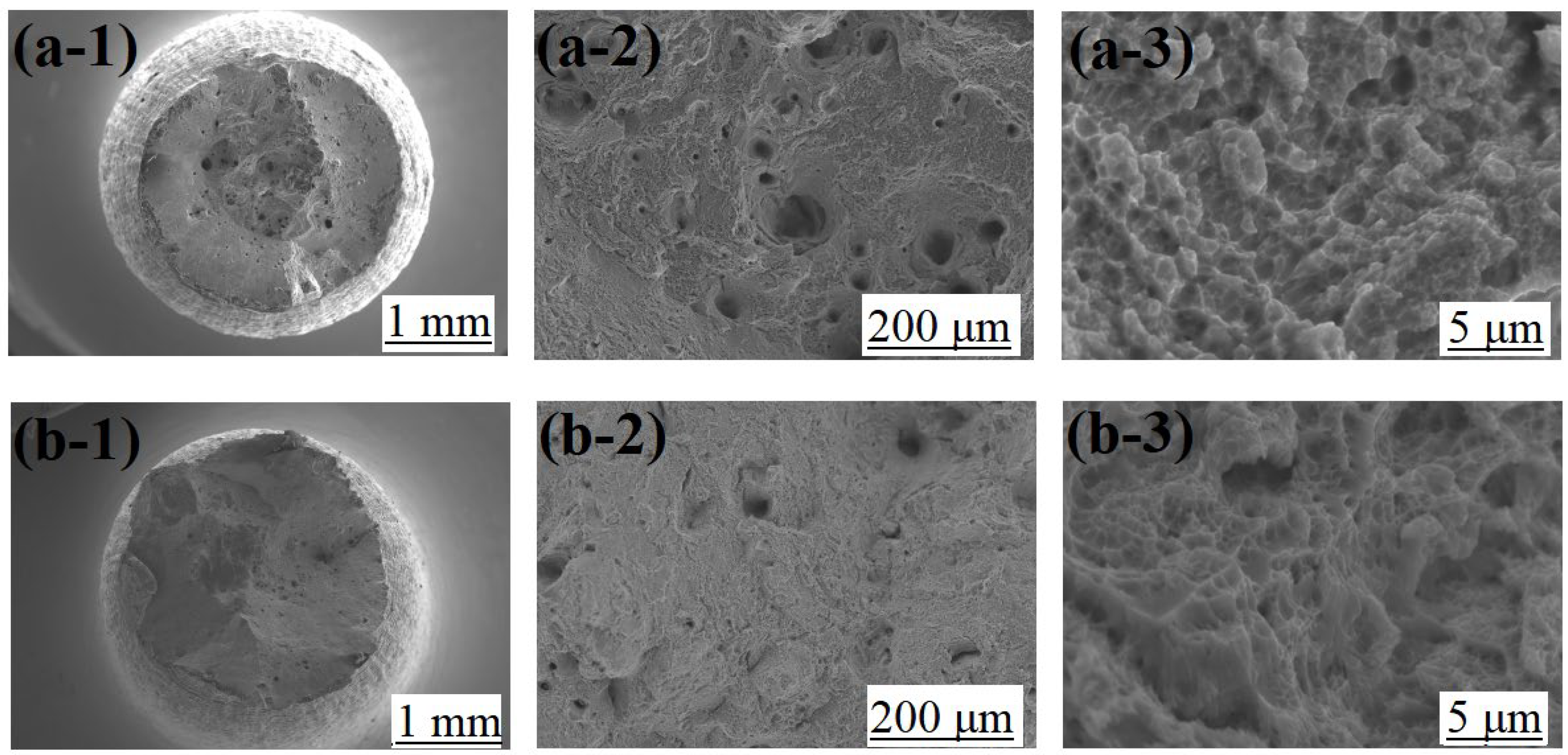 Materials 16 01661 g010