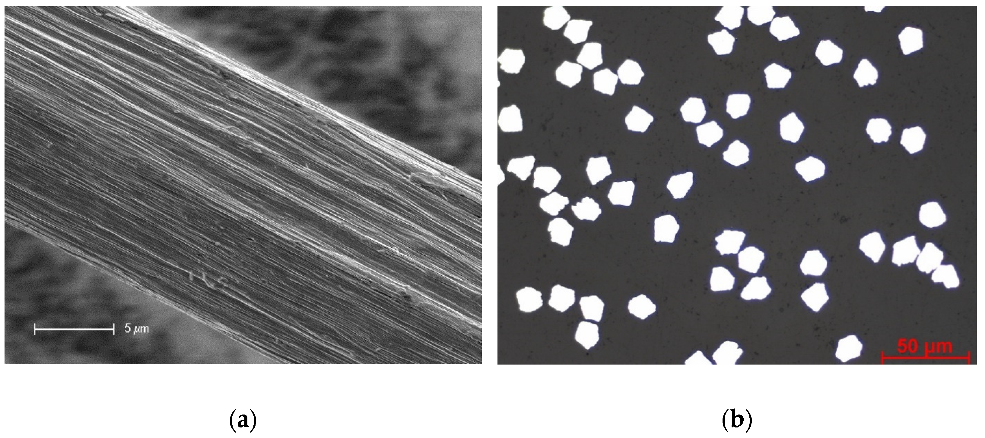 Materials 16 01668 g005