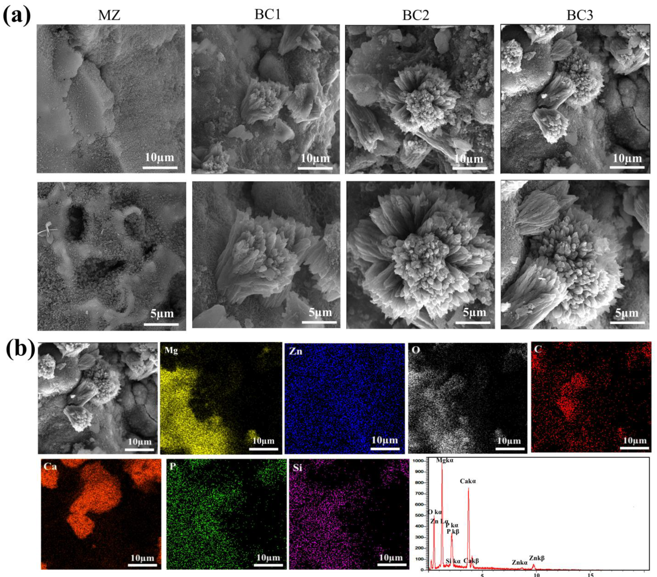Materials 16 01681 g010 Materials 16 01681 g010