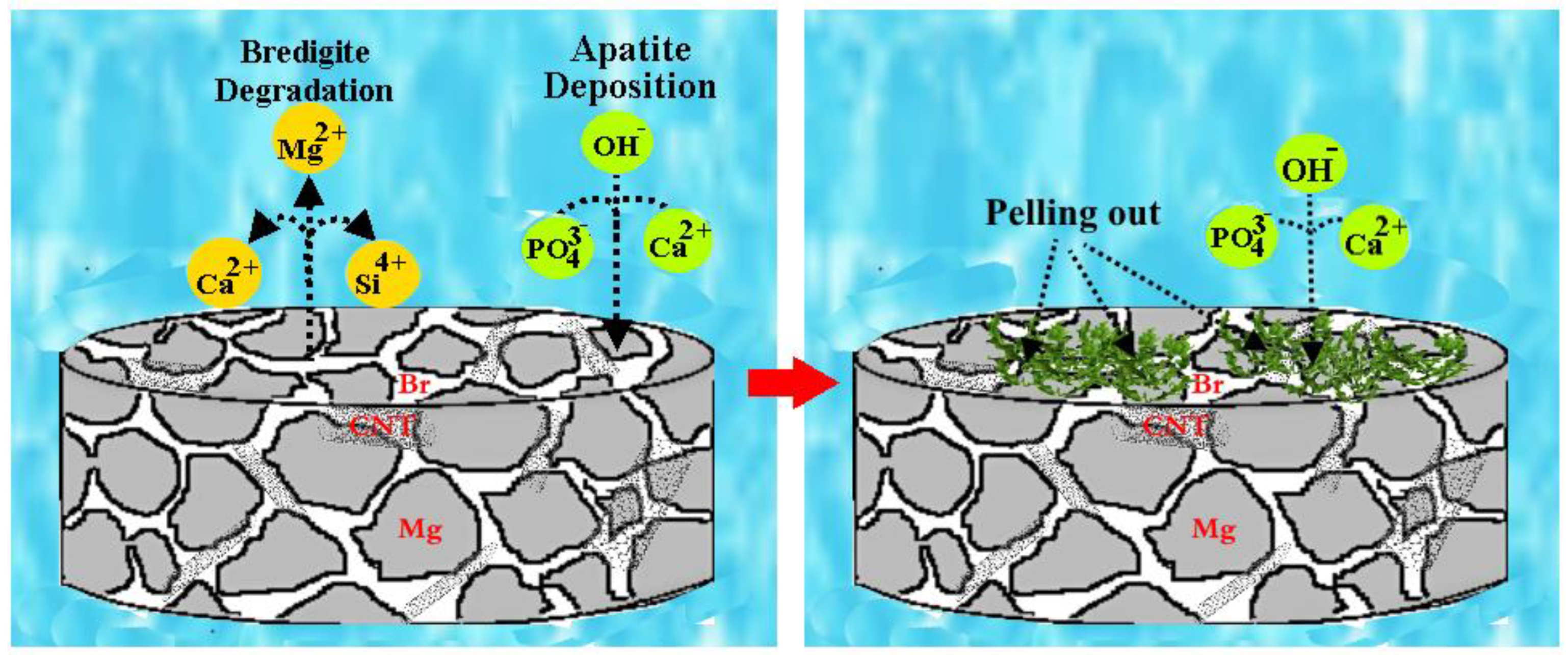 Materials 16 01681 g011 Materials 16 01681 g011