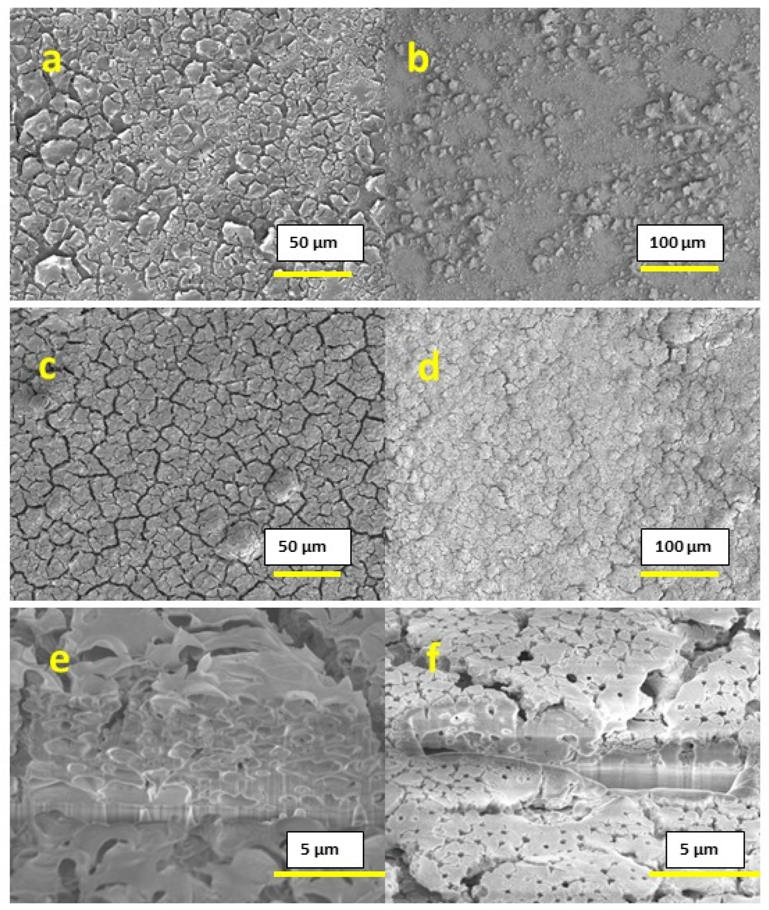 Materials 16 01685 g005