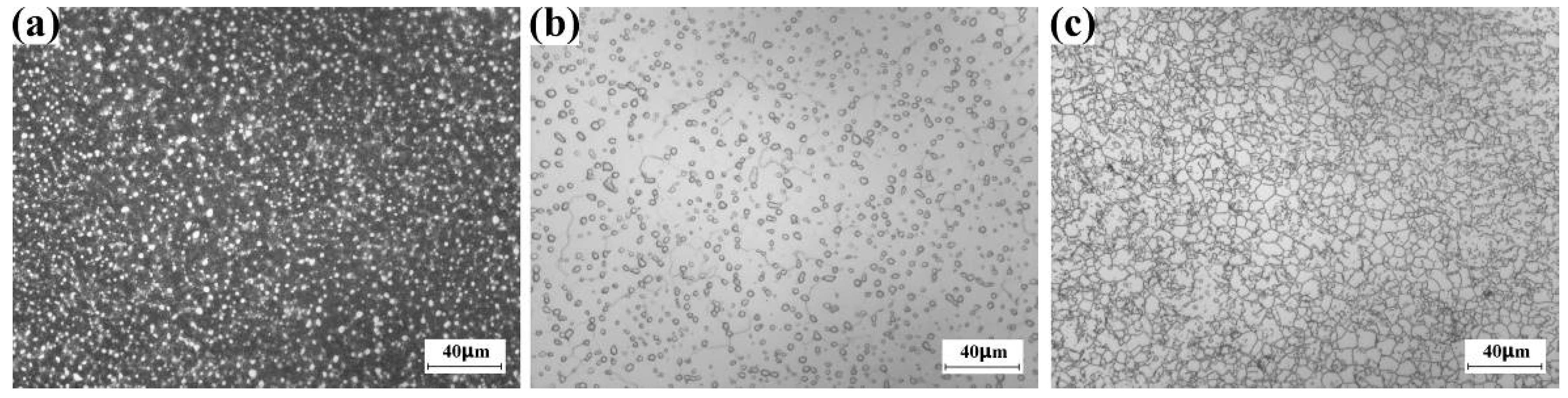 Materials 16 01692 g003 Materials 16 01692 g003